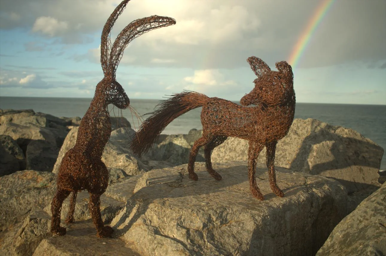 fox hare face off.jpg