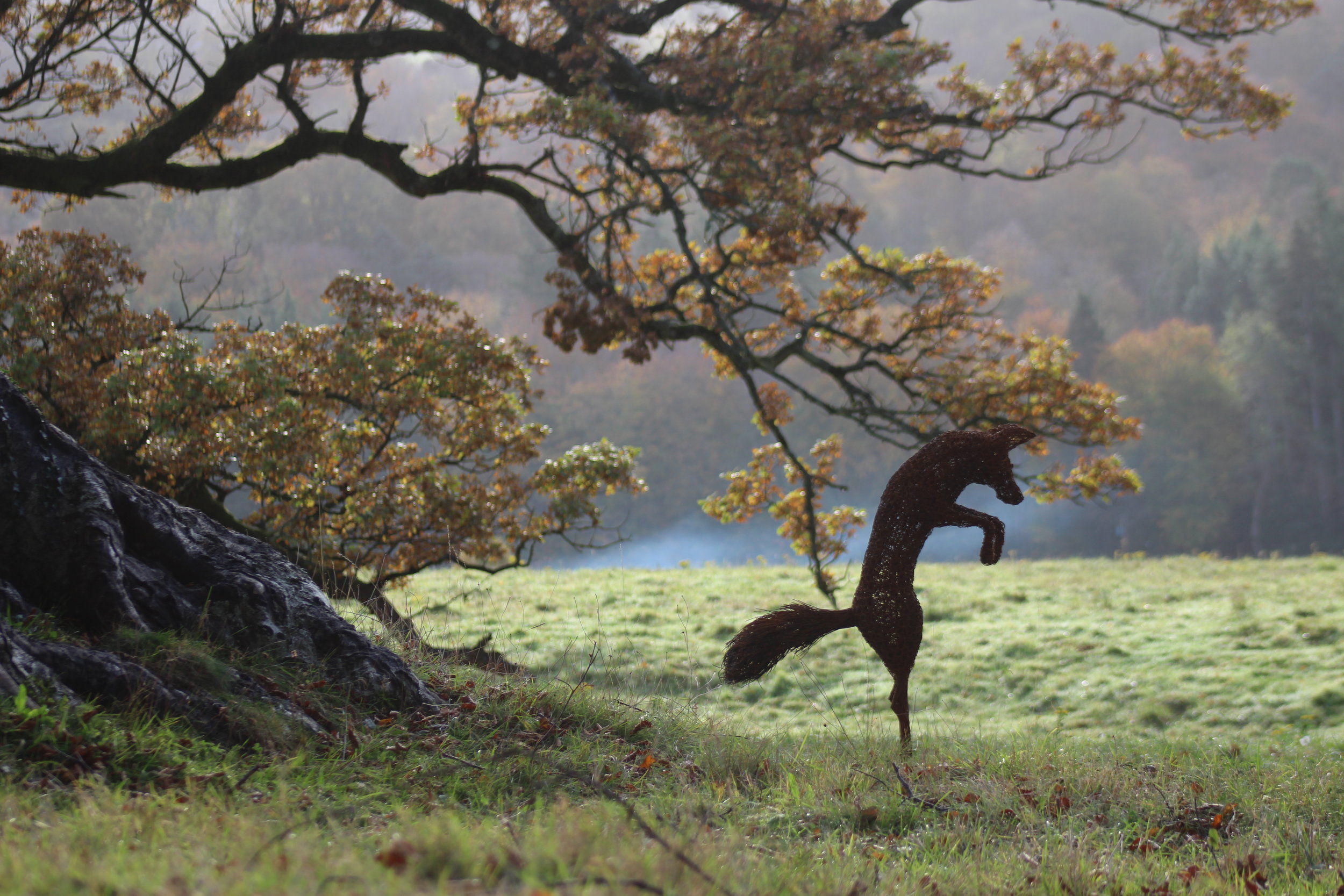 HR leaping fox and Tree.JPG