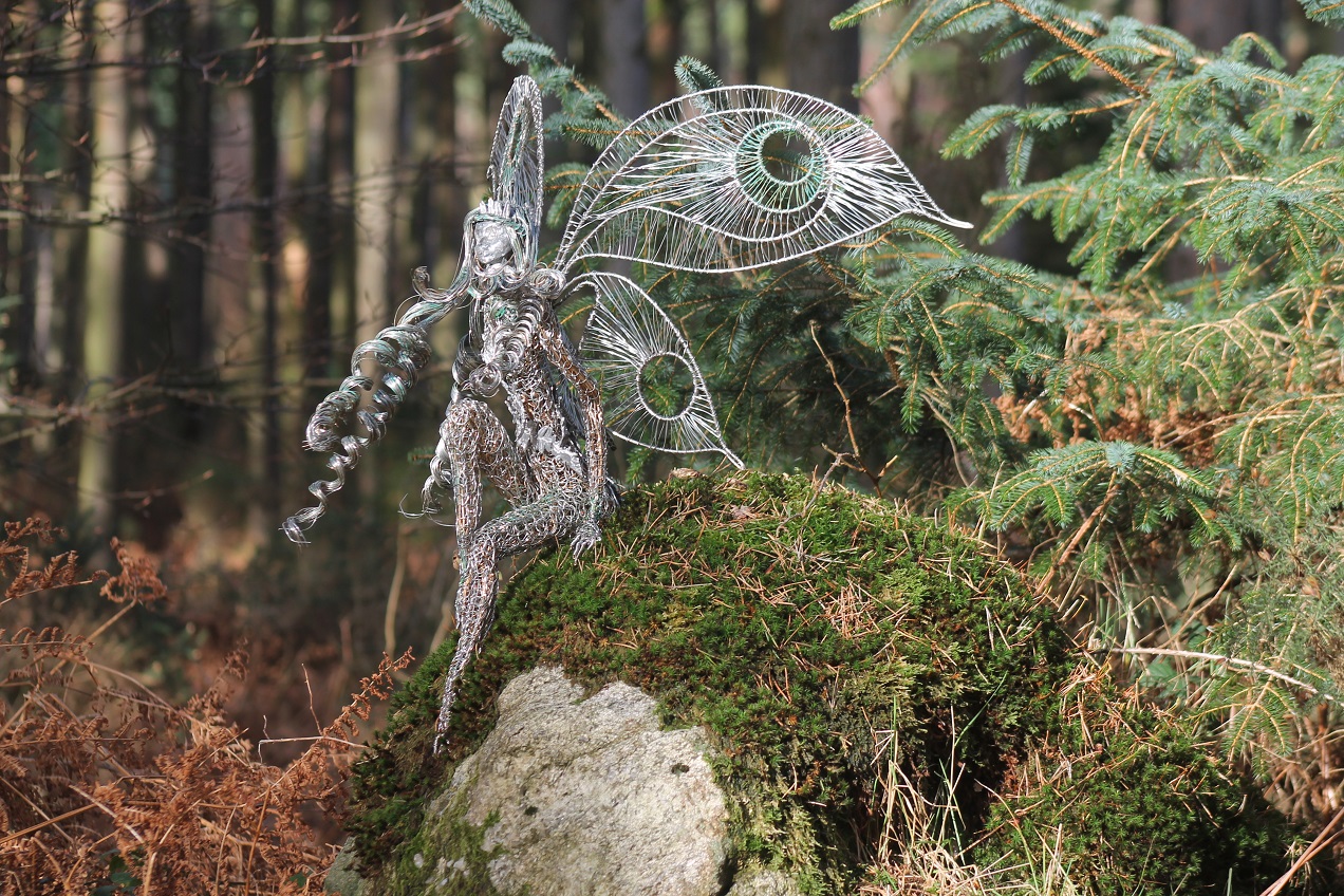 fairy Fern 1.jpg