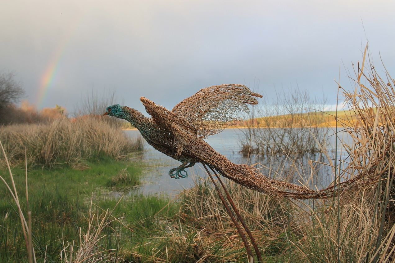 2019 website pheasent and the rainbow.jpg