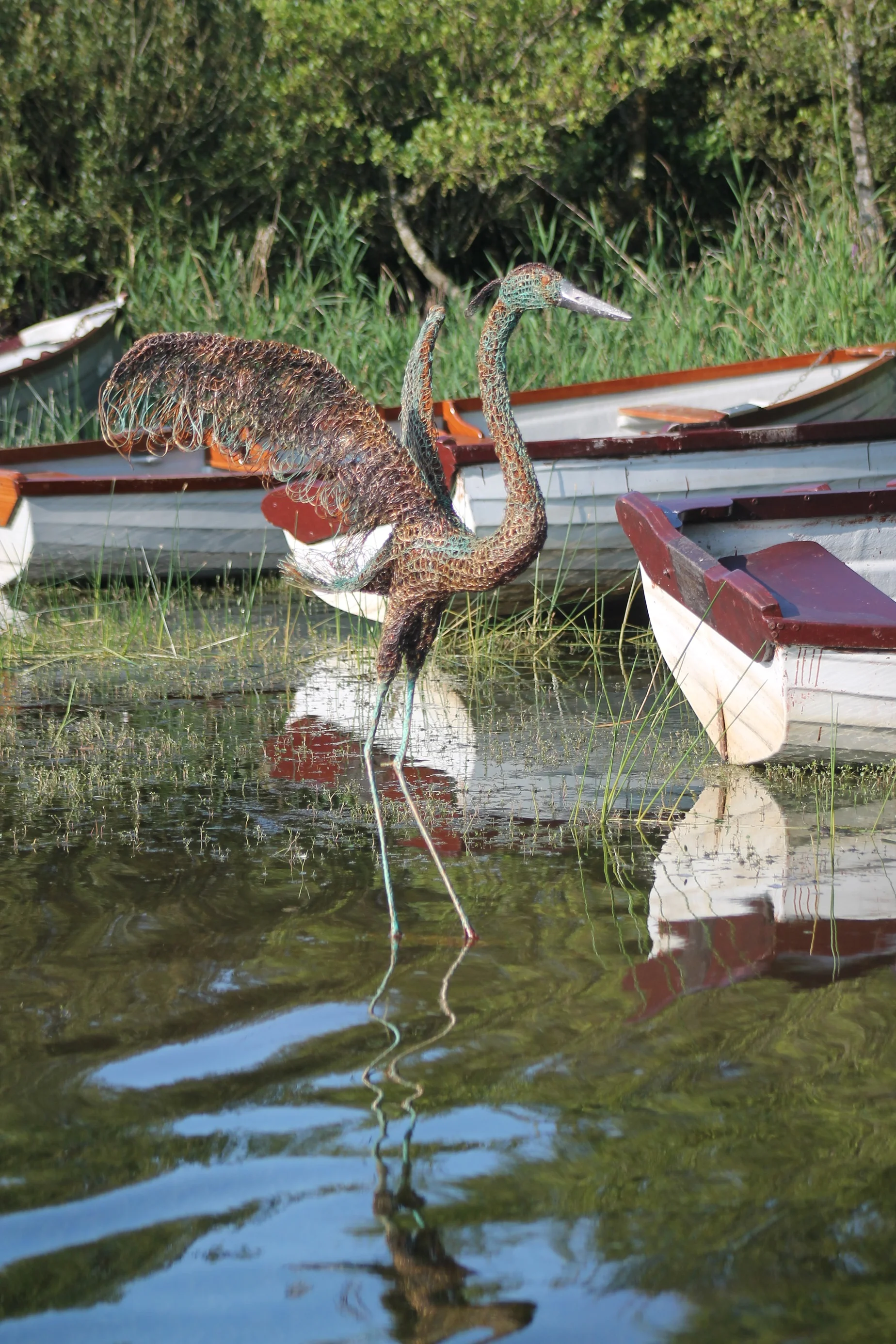 heron 5.jpg