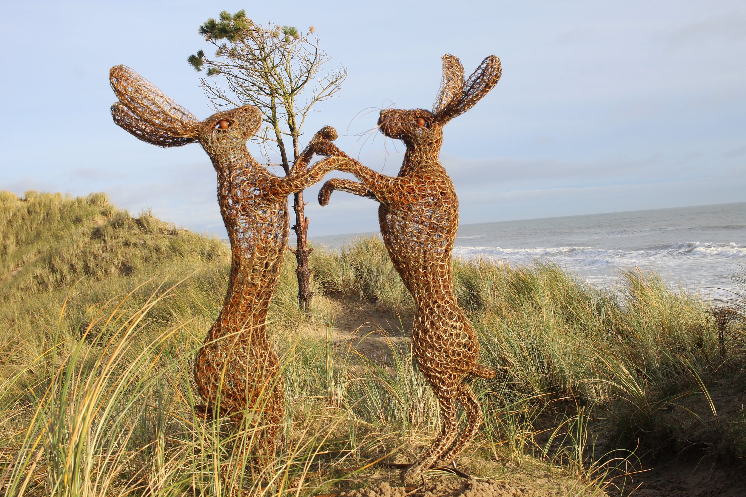 boxing hares sea and the landscape.JPG
