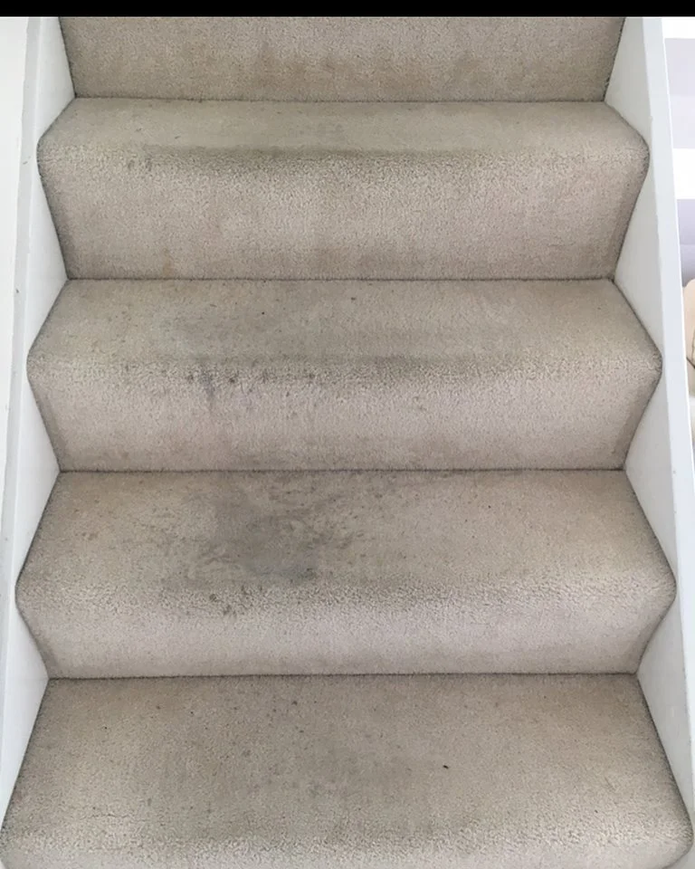 38686914_770946349766520_6830230982671466496_n.jpg