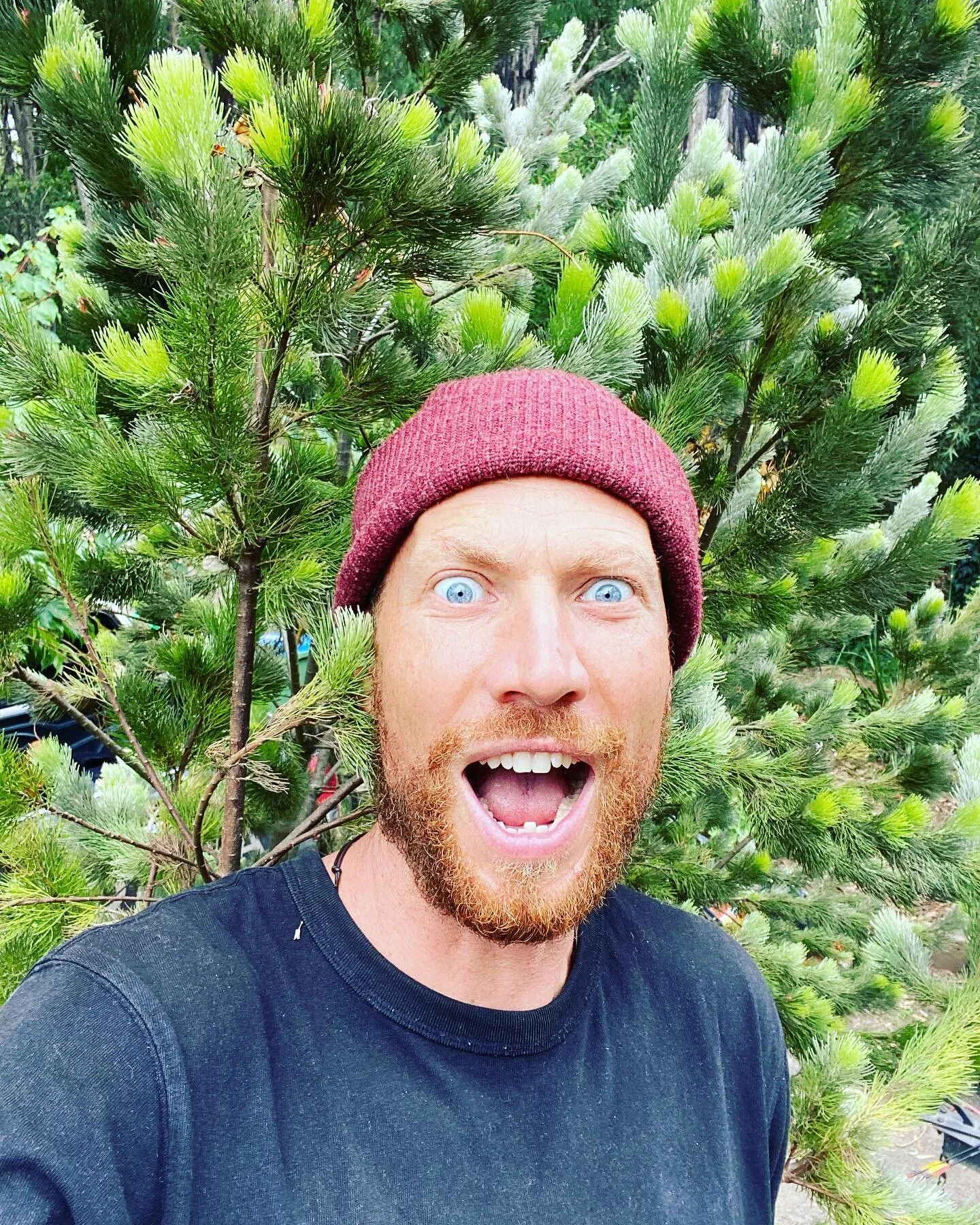 Here I am Being swallowed by one of my fav bushes, that I wish I knew the name of (anyone help out ?) and doing my best to emote the big time vibes that are allready flowing and glowing for the upcoming @awakenwellnessfestival 

@mamakinpics and I wi
