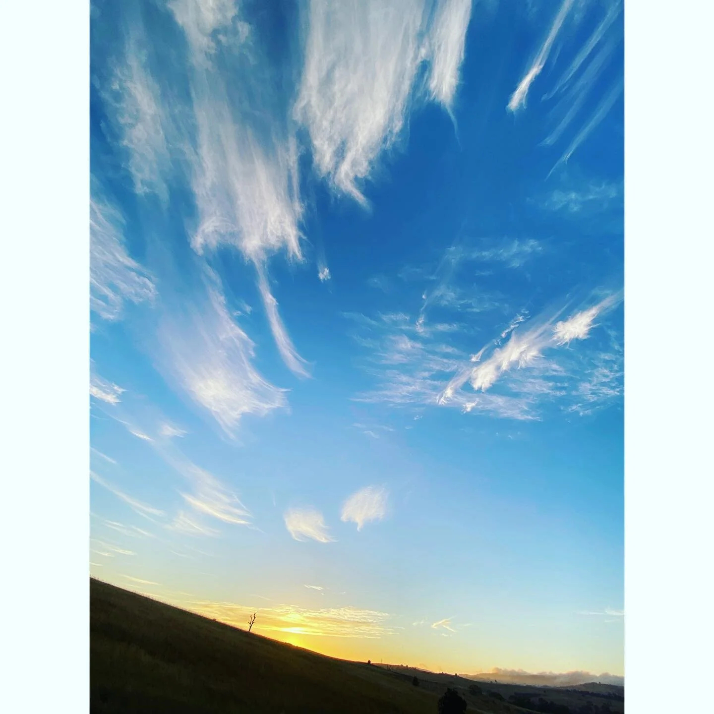 Couple of days fencing (always working on boundaries 😂) spending time with dear friends up on Wurundjeri Woi Wurrung, Dja Dja Wurrung country 

I&rsquo;ve been lost for words as to what to say here these days, other than to daily post a personal phy