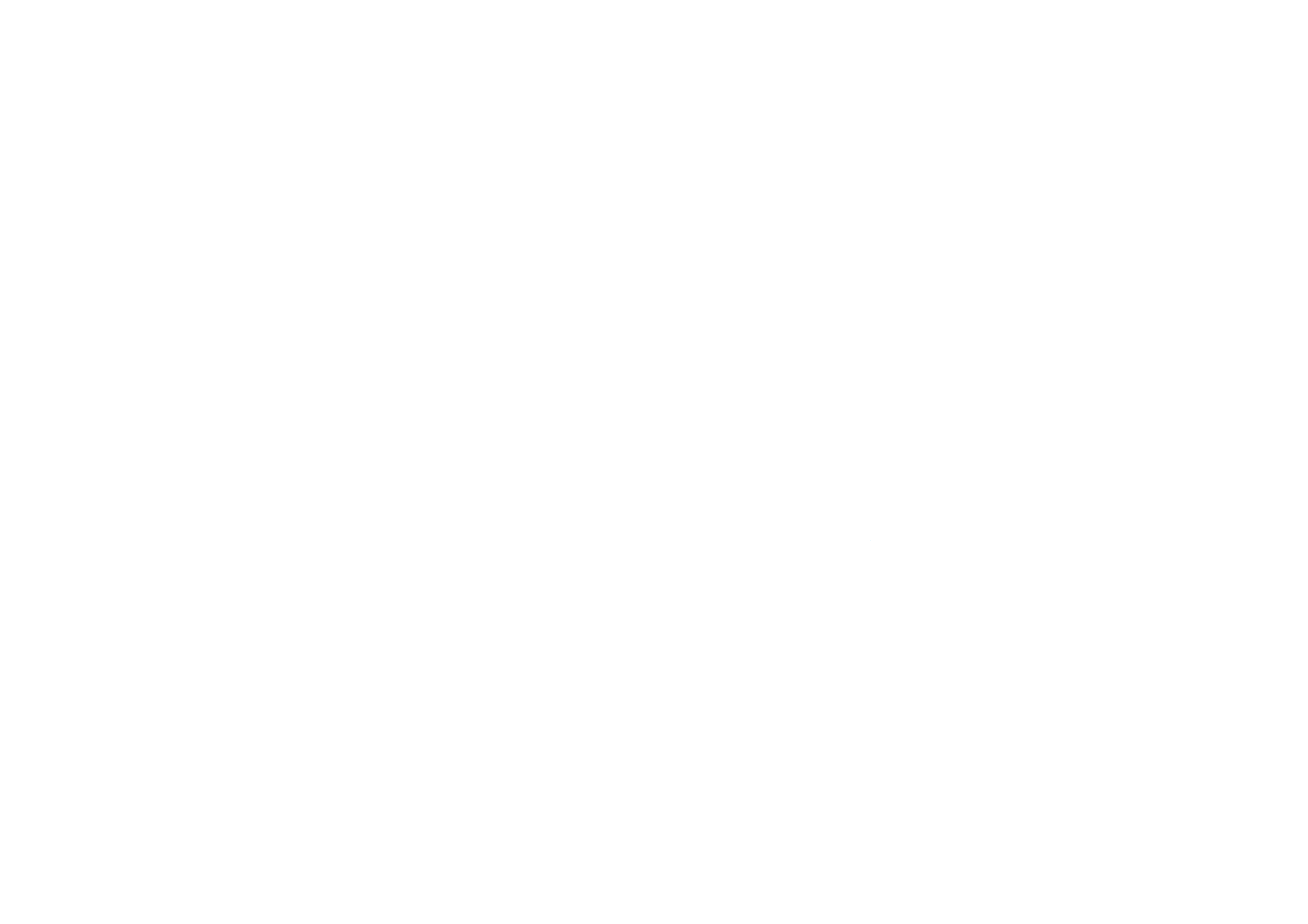 Mafer_logo copia 2.png