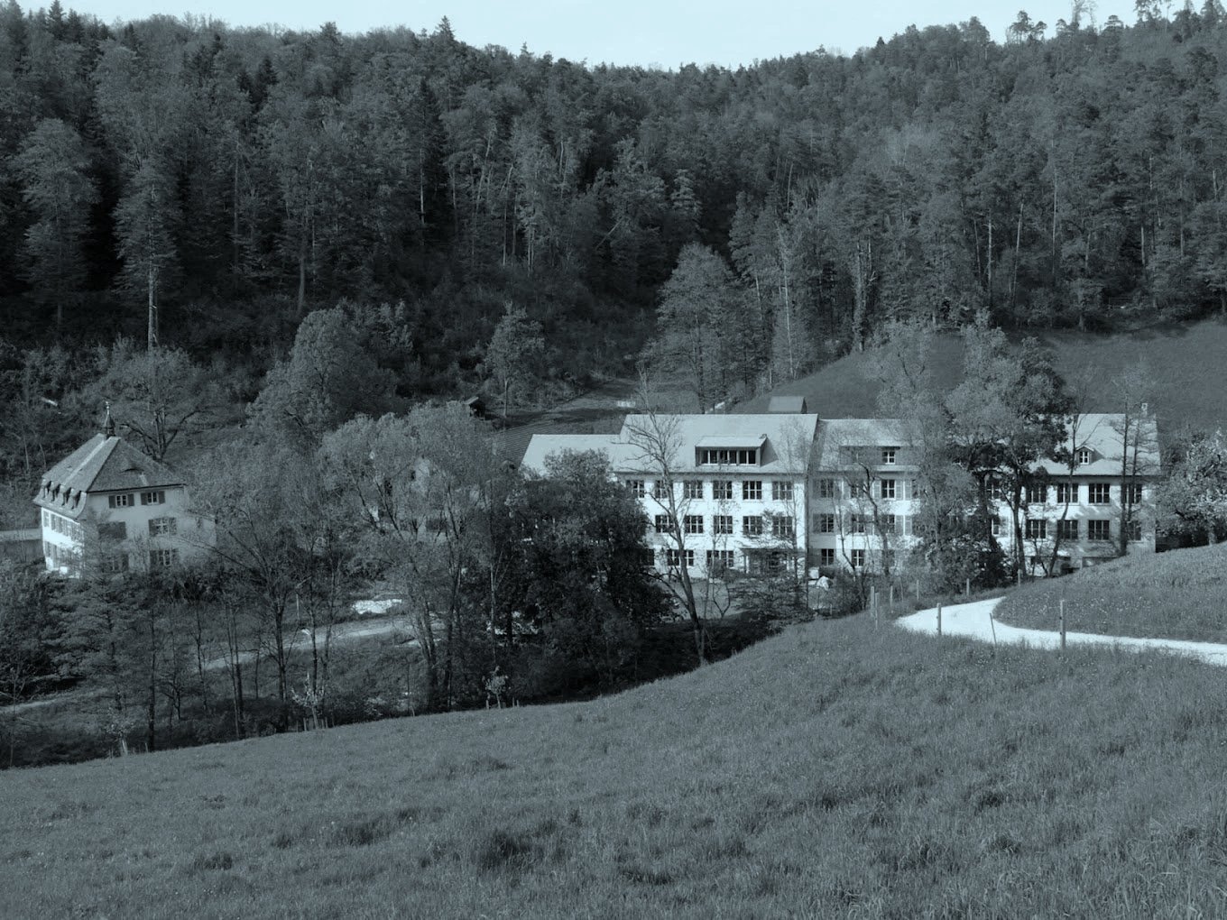 Between the mountains Festival 