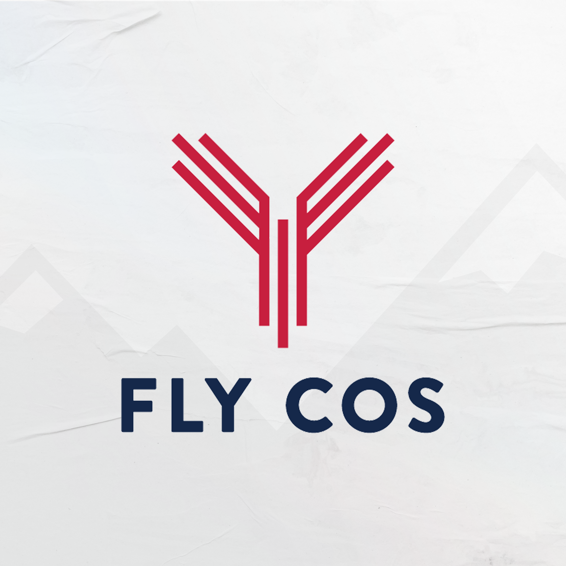 FLYCOS.png