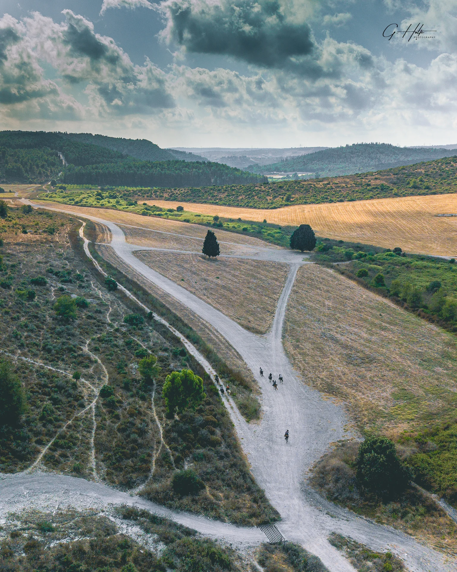 hillside vertical.jpg