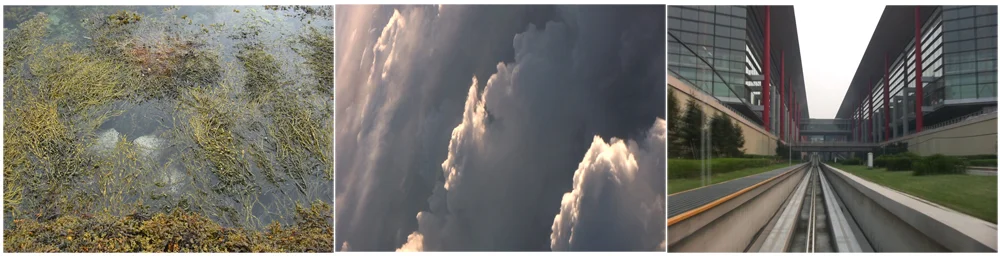 AM triptych-sf.jpg