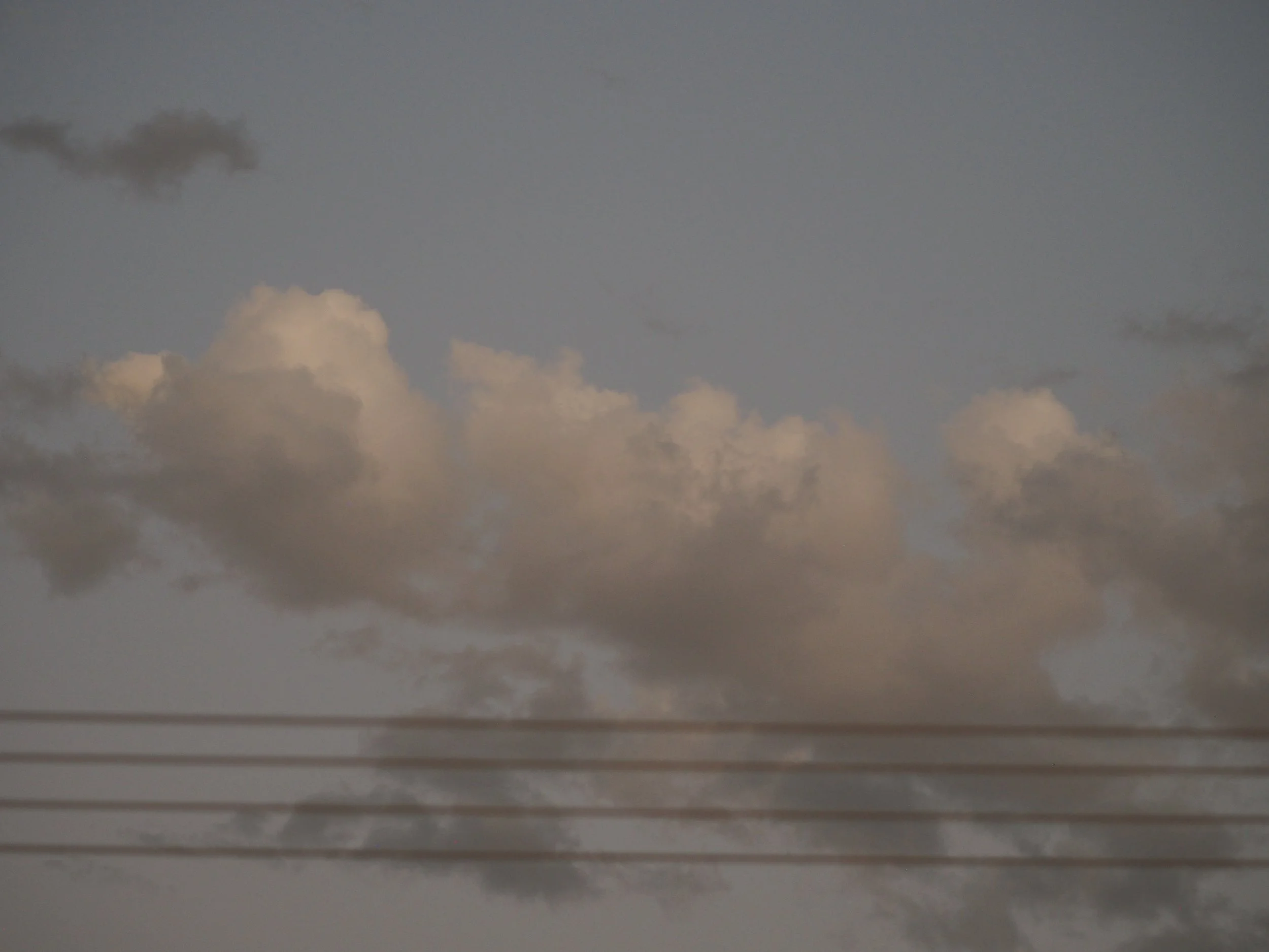 P1010529.JPG