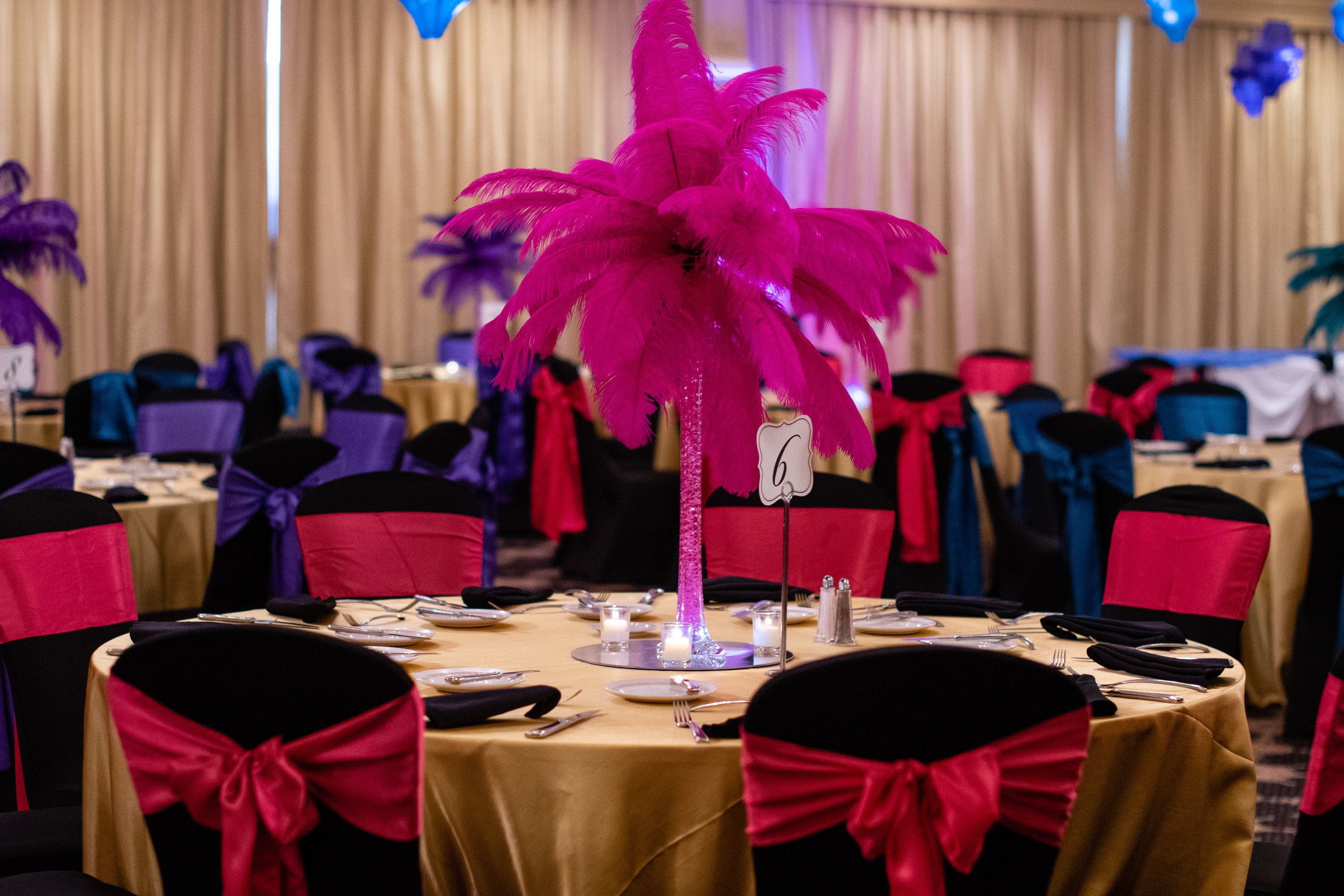 2019 Mar Capital Princess Ball-aephoto-11.jpg