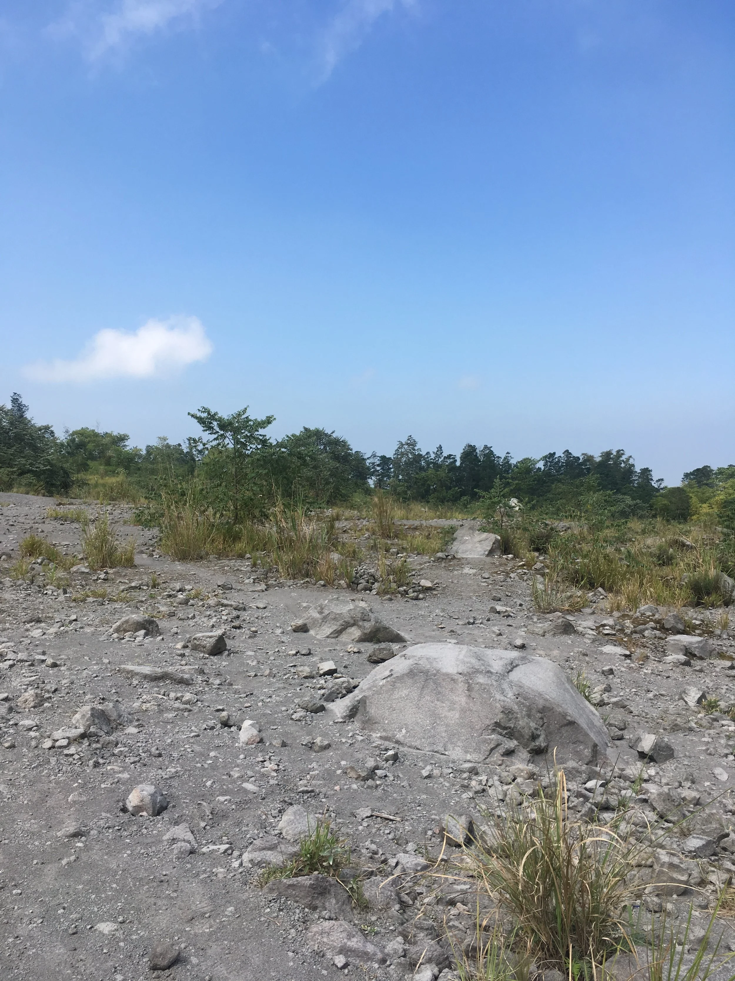  Remaining debris from the 2011 eruption. 