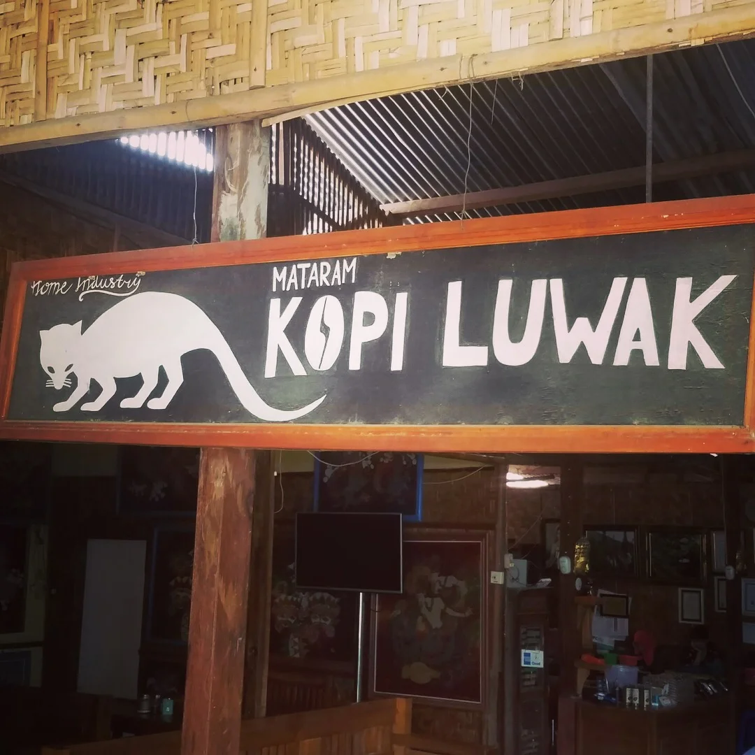                                              Kopi Luwak store front. &nbsp;&nbsp;&nbsp;&nbsp;&nbsp;&nbsp;&nbsp;&nbsp;&nbsp;&nbsp;&nbsp;&nbsp;&nbsp;&nbsp;&nbsp;&nbsp;&nbsp;&nbsp;&nbsp;&nbsp;&nbsp;&nbsp;&nbsp; &nbsp;&nbsp;&nbsp;&nbsp;&nbsp;&nbsp;&nbsp;