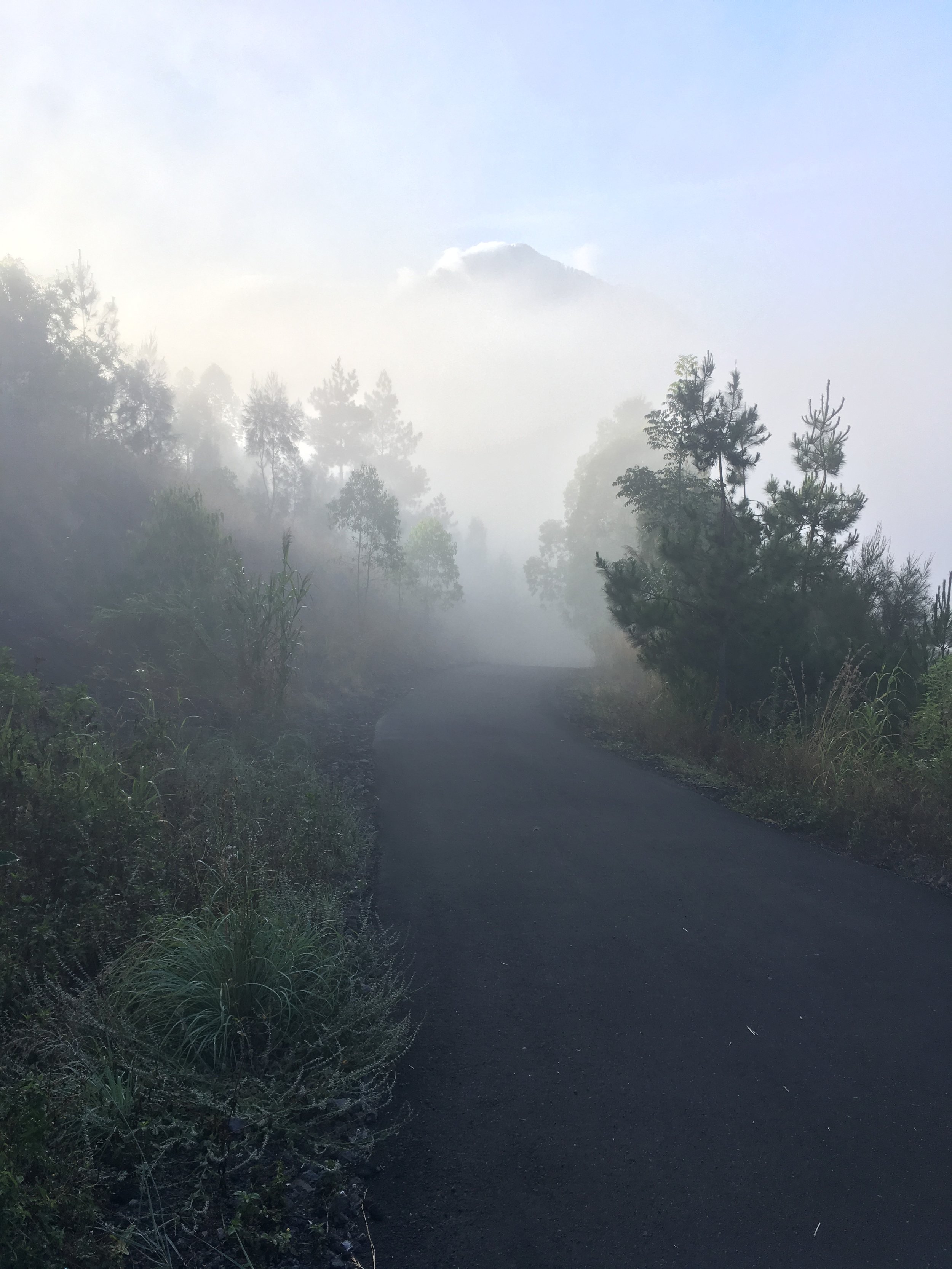   The road to get back to the designated meeting area at the end of the hike.  