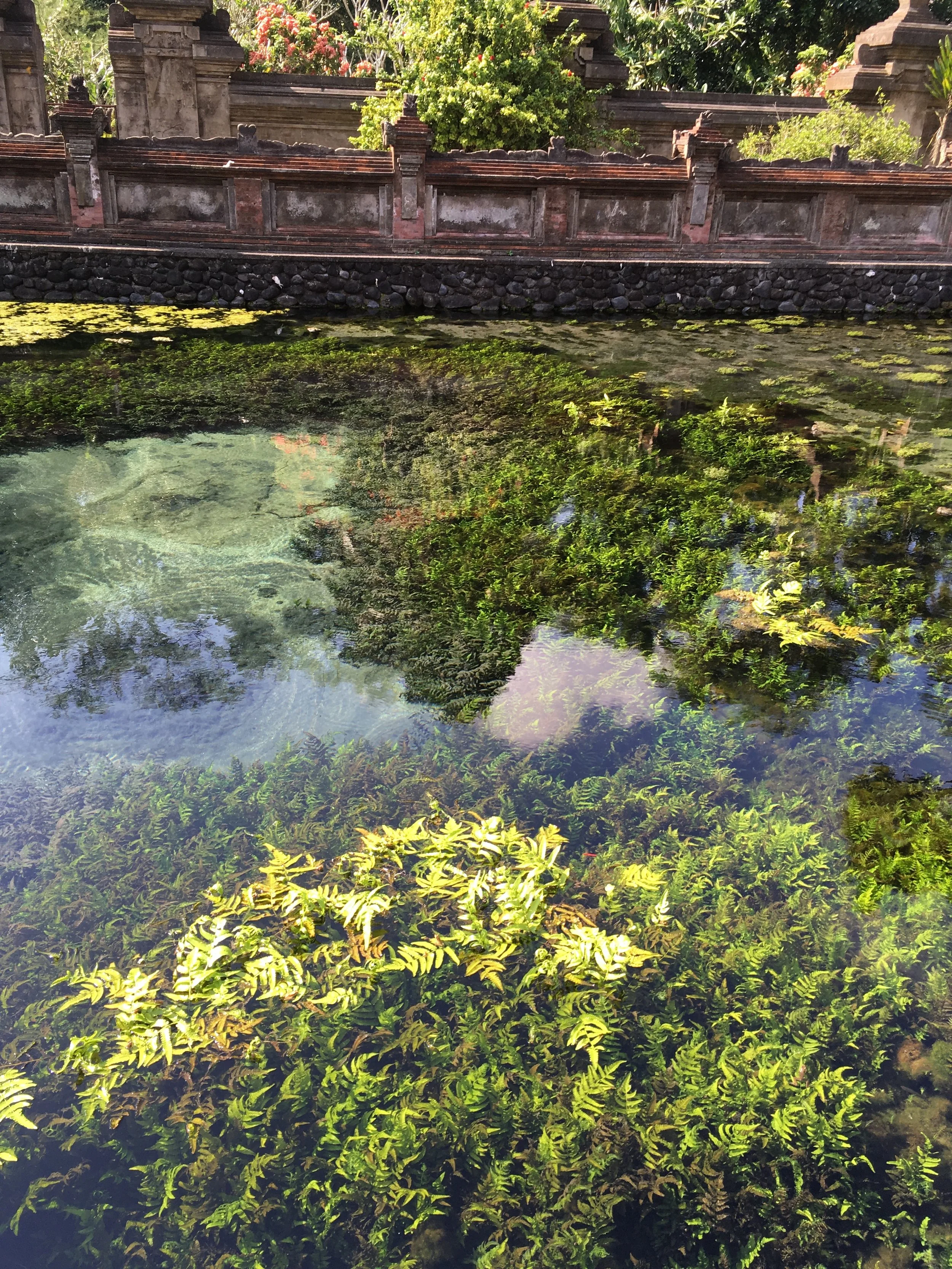   The holy spring, which has been the water source at the Purification Temple since pre 8th century.      