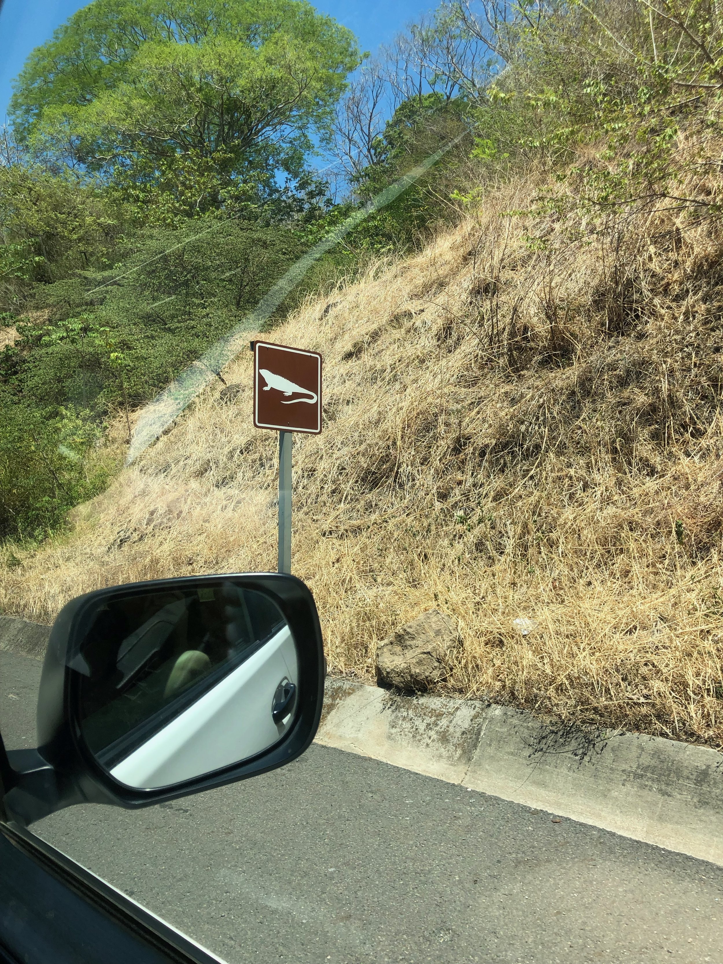   Driving to Manuel Antonio via the Pan American Highway, which connects to both Nicaragua to the north and Panama to the south.  