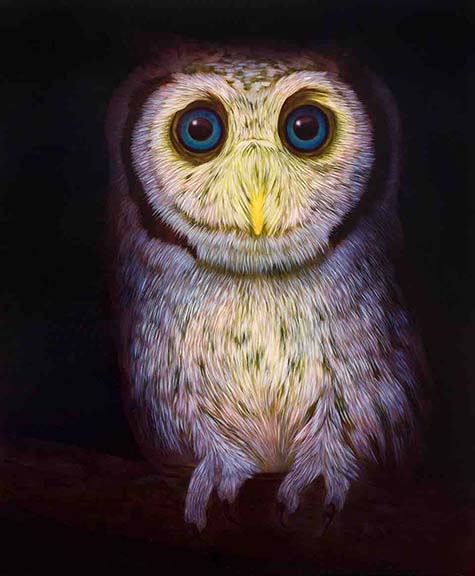Untitled (owl)