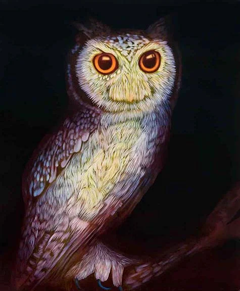 Untitled (owl)