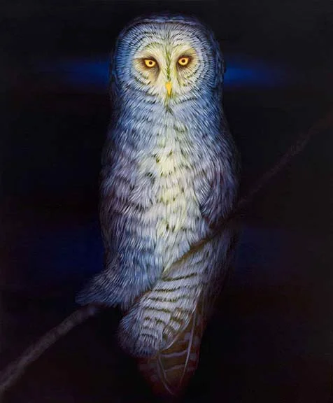 Untitled (owl)