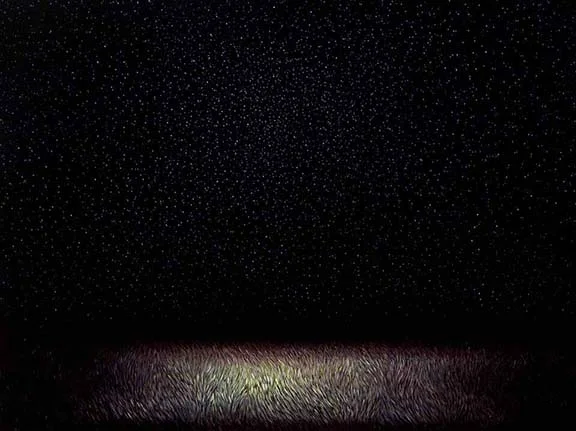 Grass with Stars