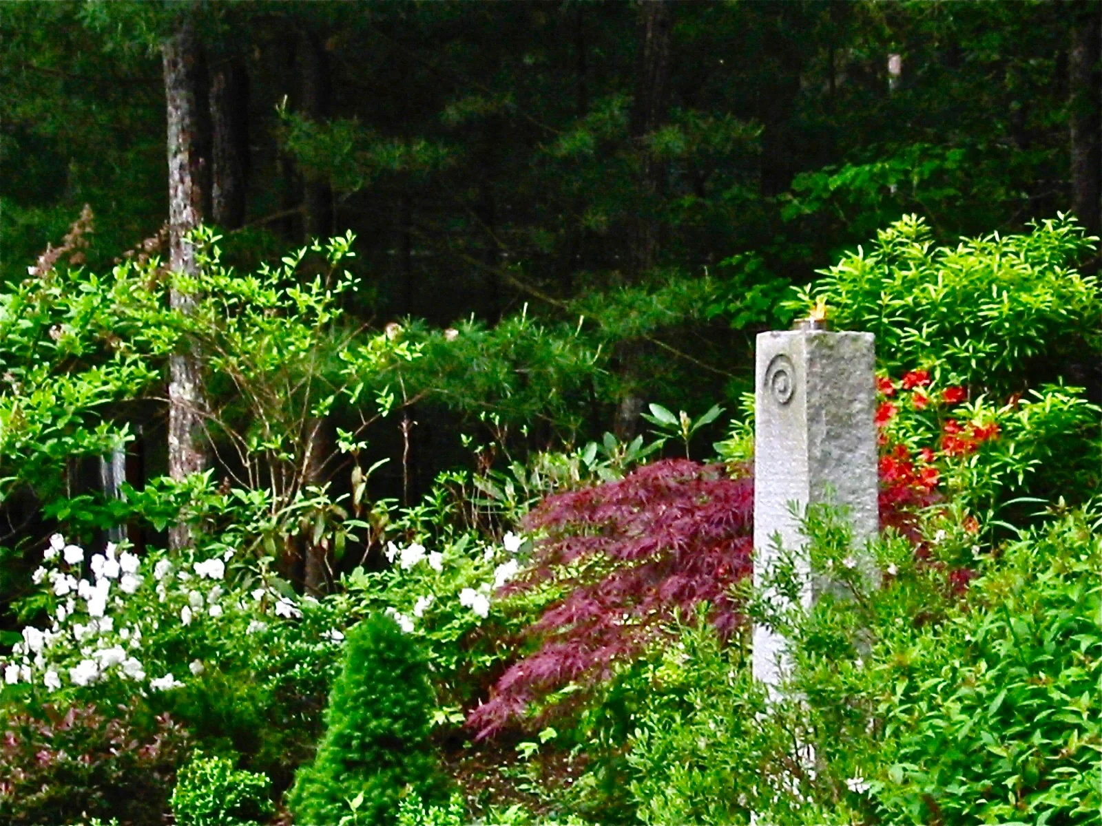 I think every garden should have a meditative or reflective corner . This is the CELTIC STELA IN THE MEDITATION SPIRAL GARDEN IN THE SPRING
