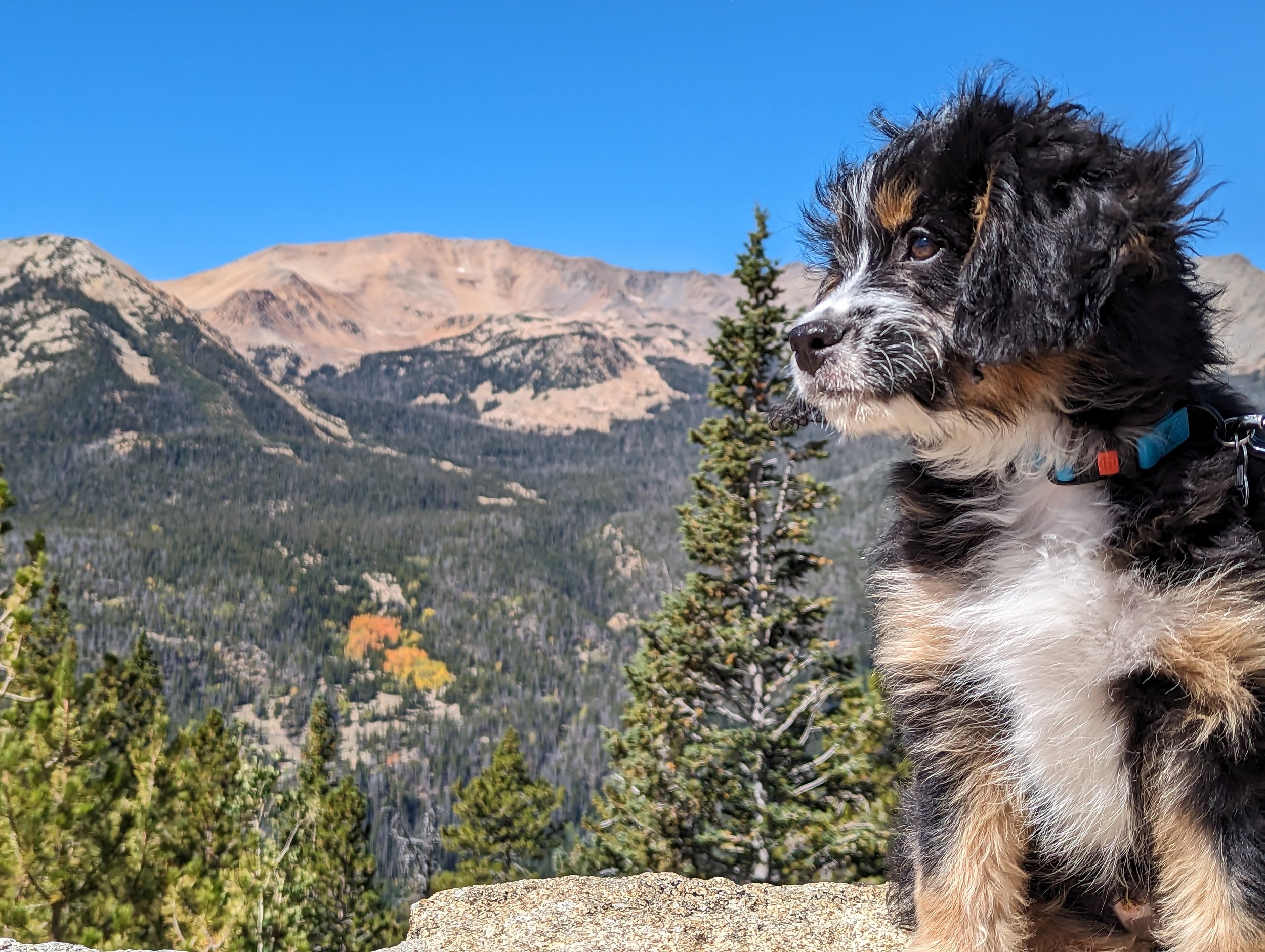 Cosmo RMNP pic.jpg