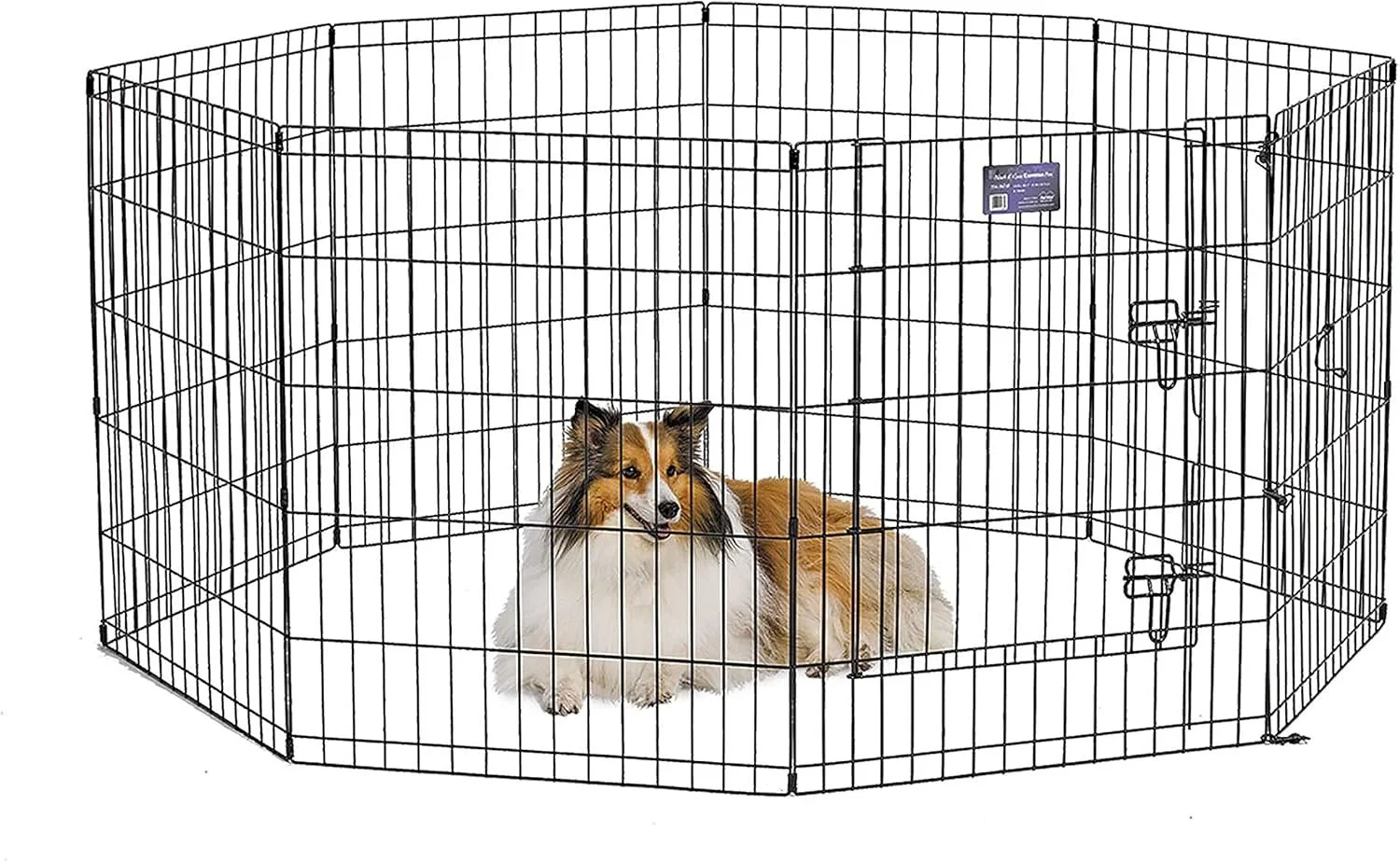 Exercise Pen