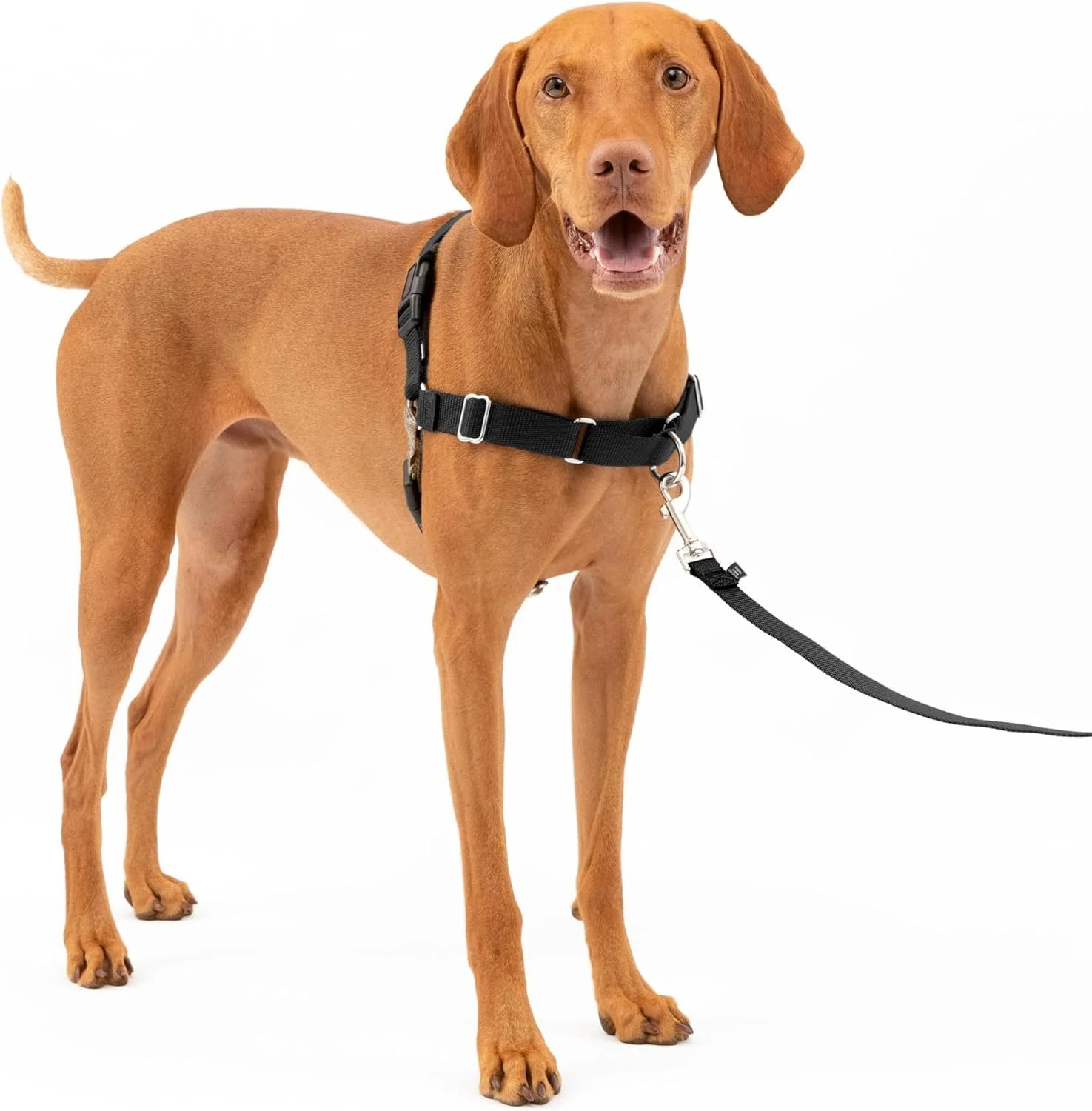 Chest Harness