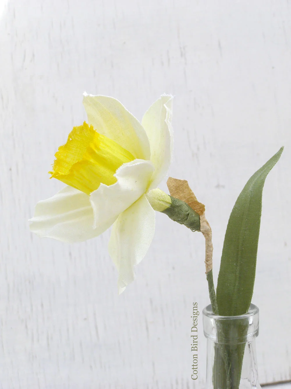 2daff.jpg