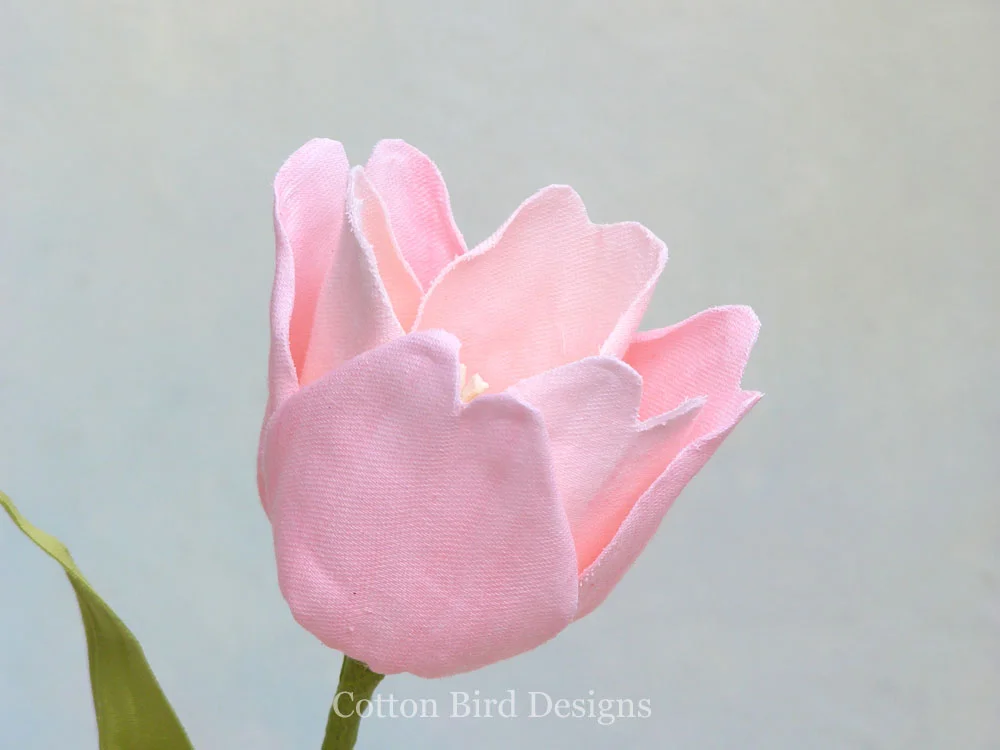 square tulip1.jpg