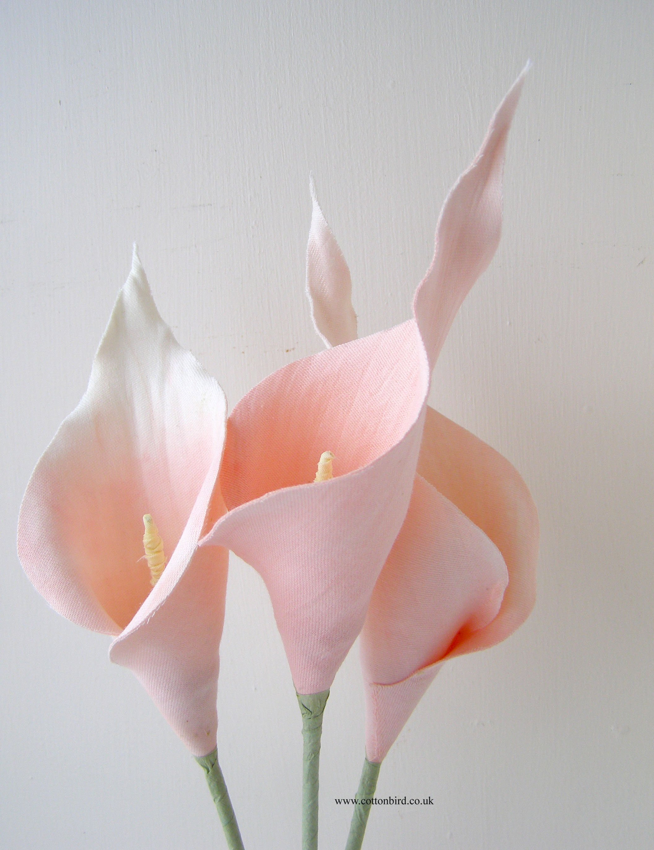 3 peach cotton lilies 1.jpg