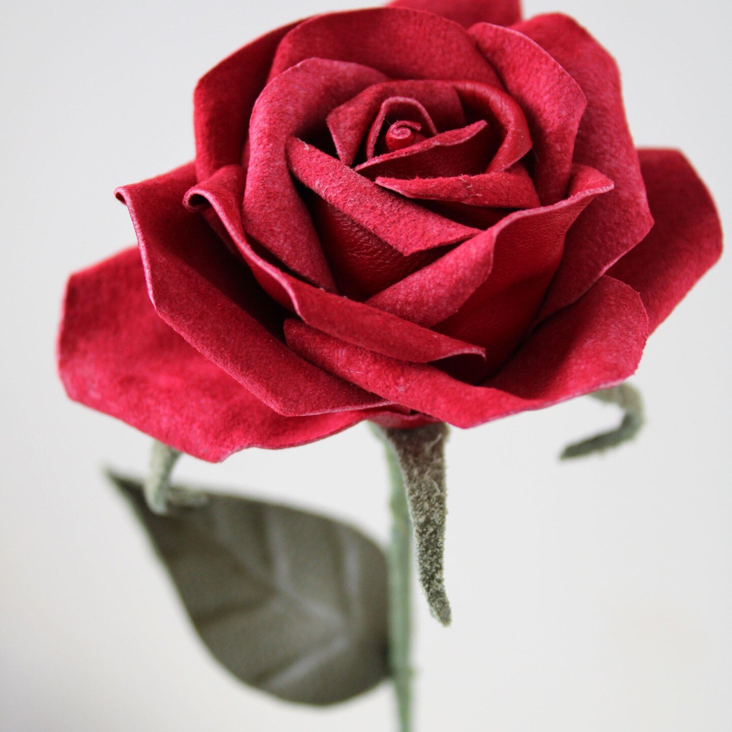 Happy Valentine's Day

#happyvalentinesday #redroses #valentine #longstemroses #flowersbypost #valentinesday #myvalentine #ourvalentine #longstemredrose #leatherrose #everlastingflowers #14th #14thfeb #love #engagement #romance #romanticrose
