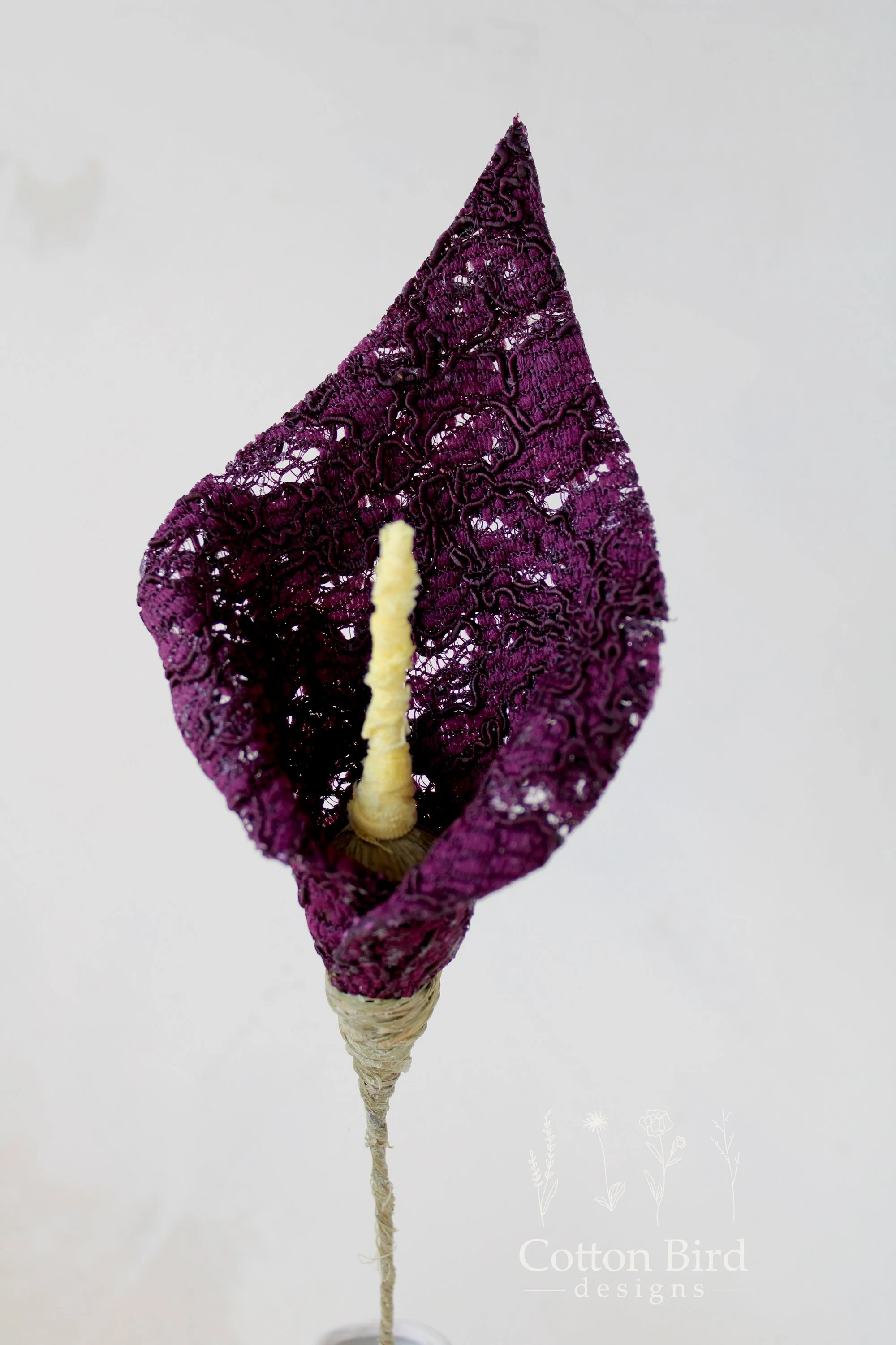 lace lily plum 6.jpg