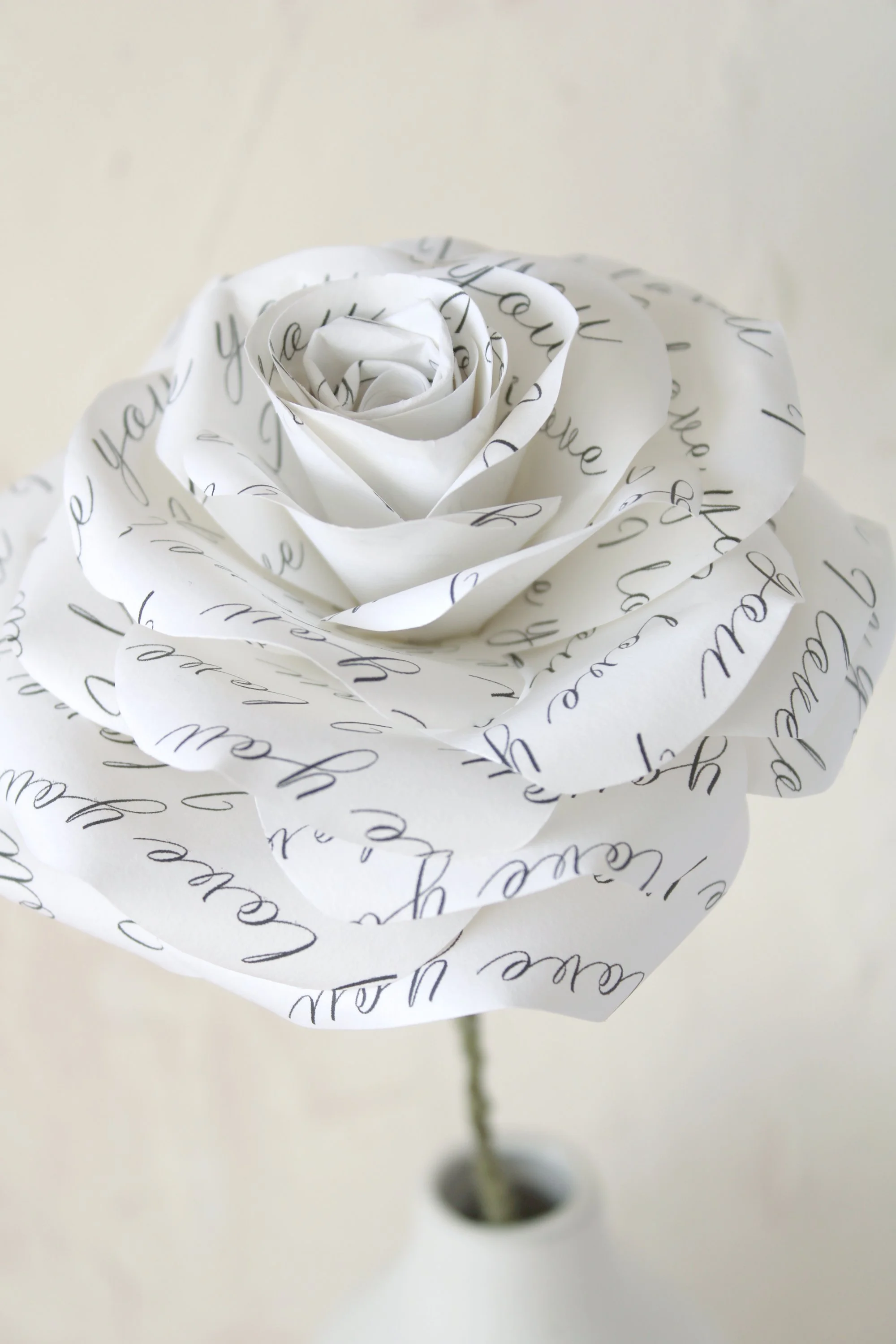 custom words paper rose 2026 4.jpg