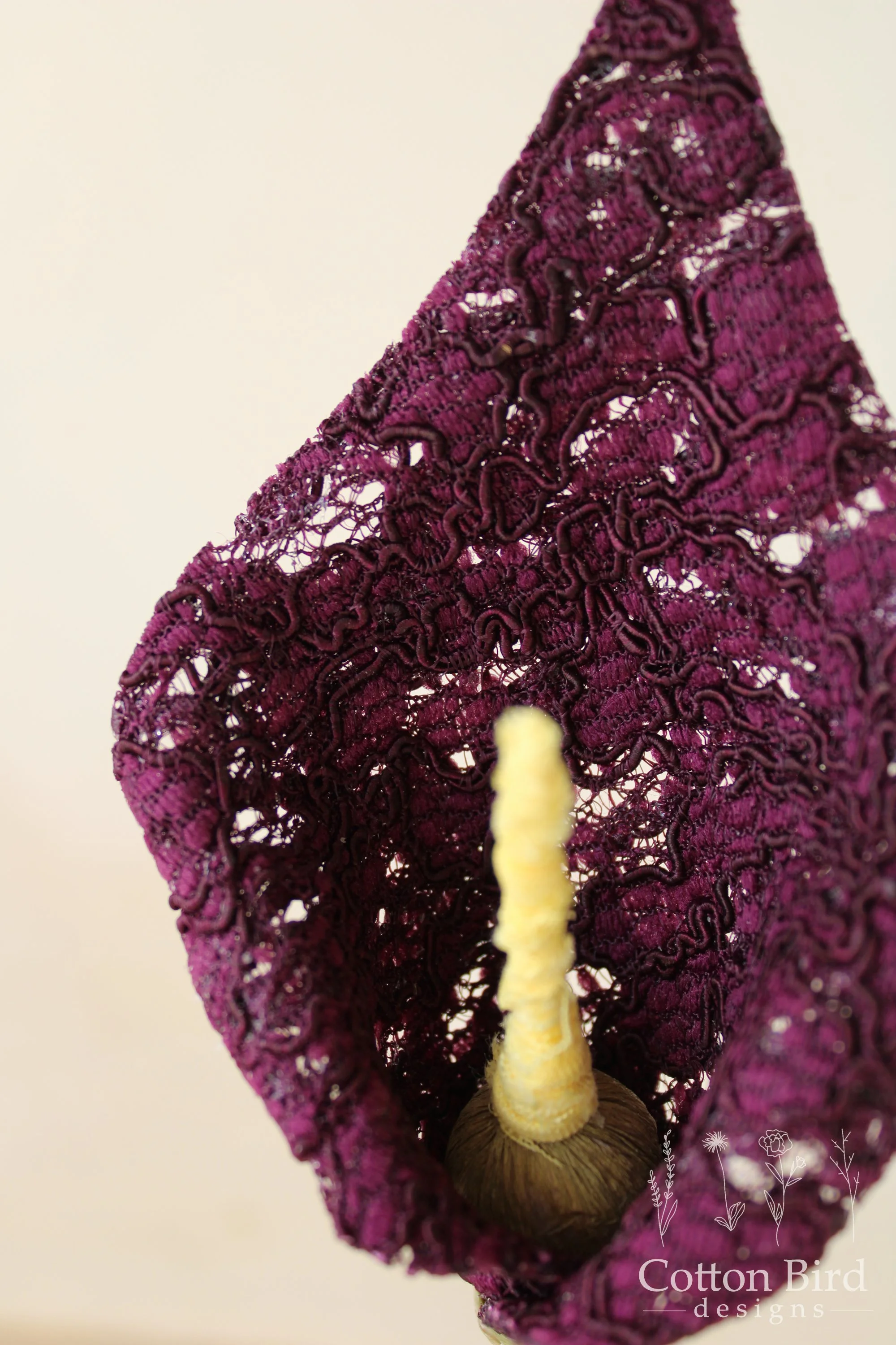 lace lily plum 1.jpg