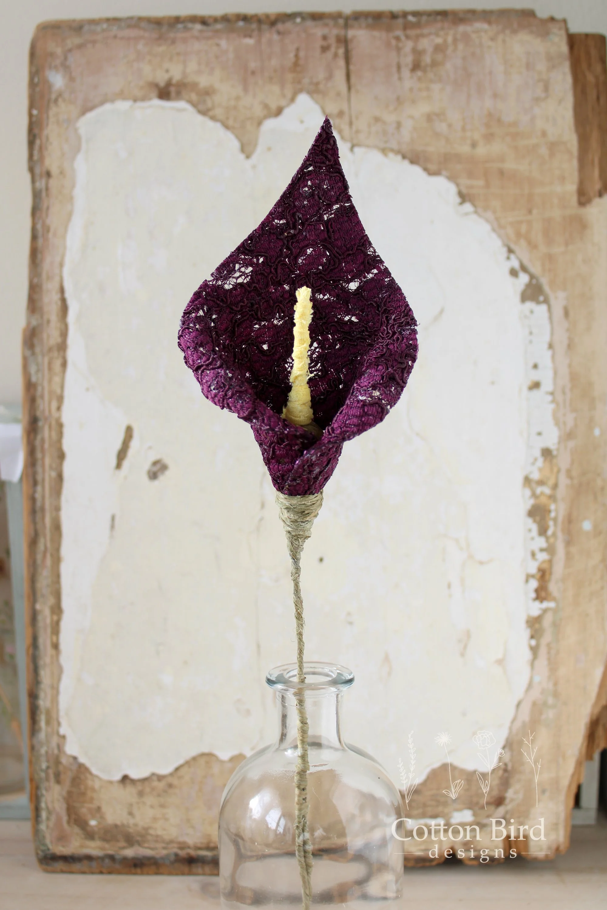 lace lily plum 8.jpg