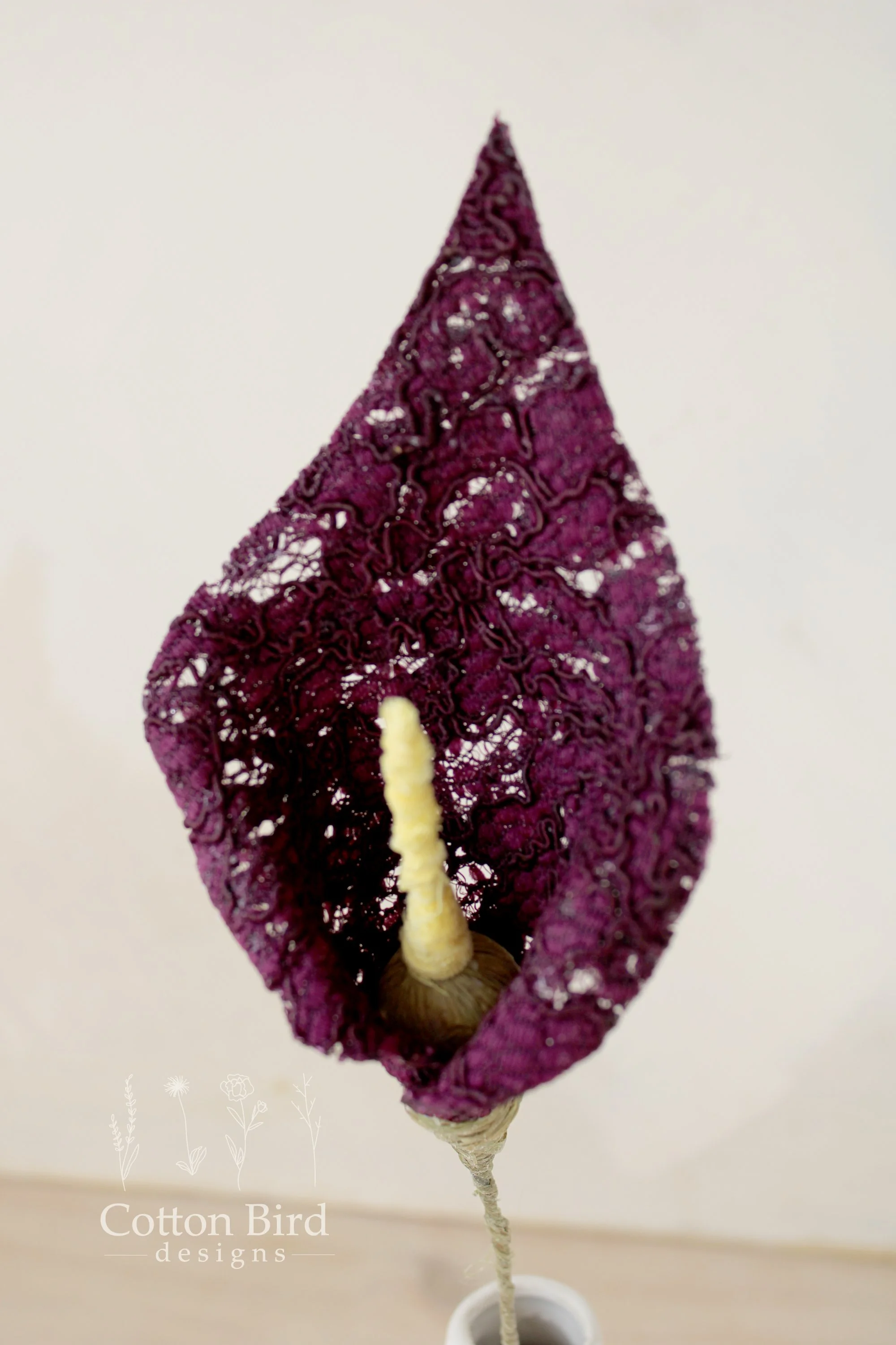 lace lily plum 5.jpg