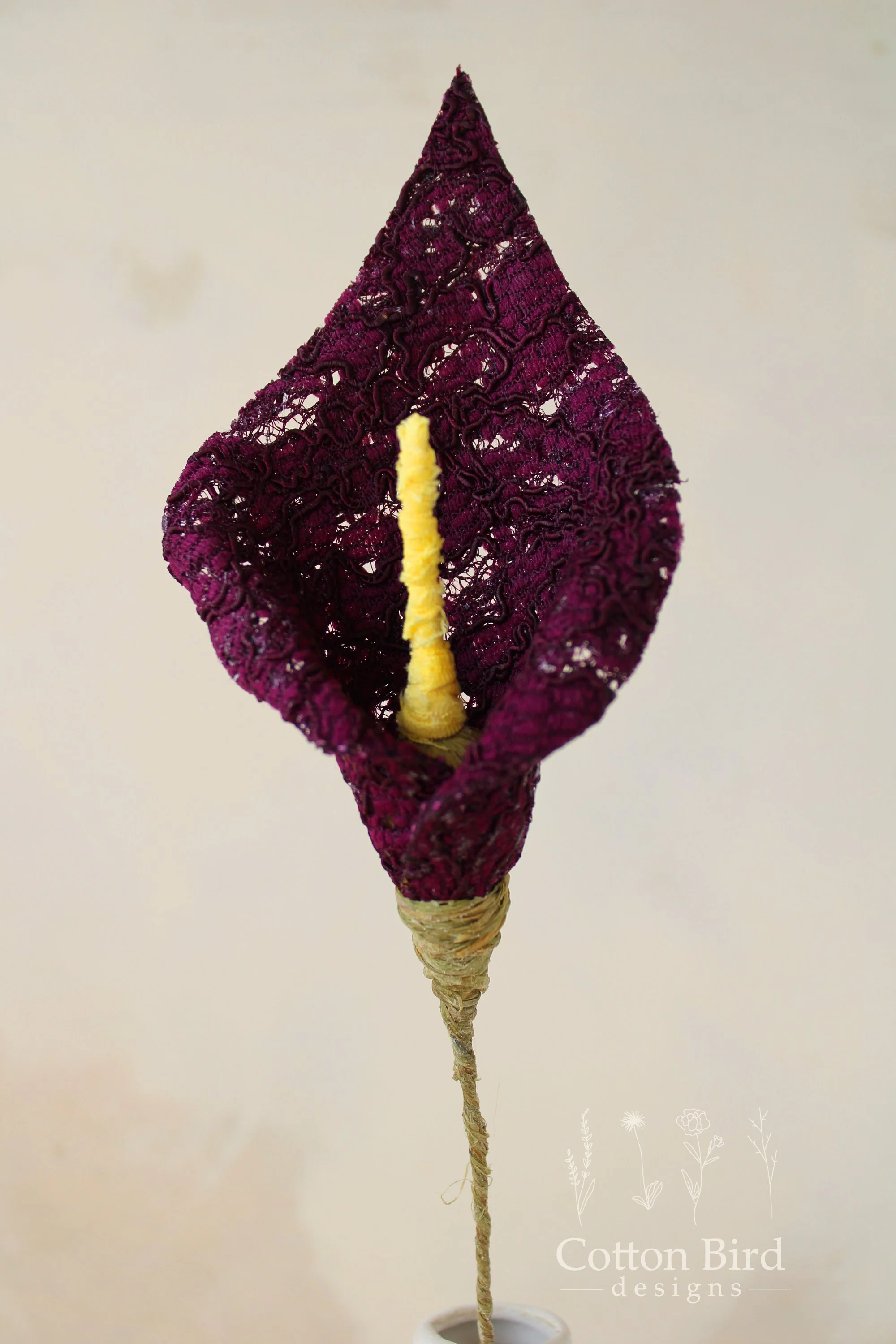 lace lily plum 2.jpg