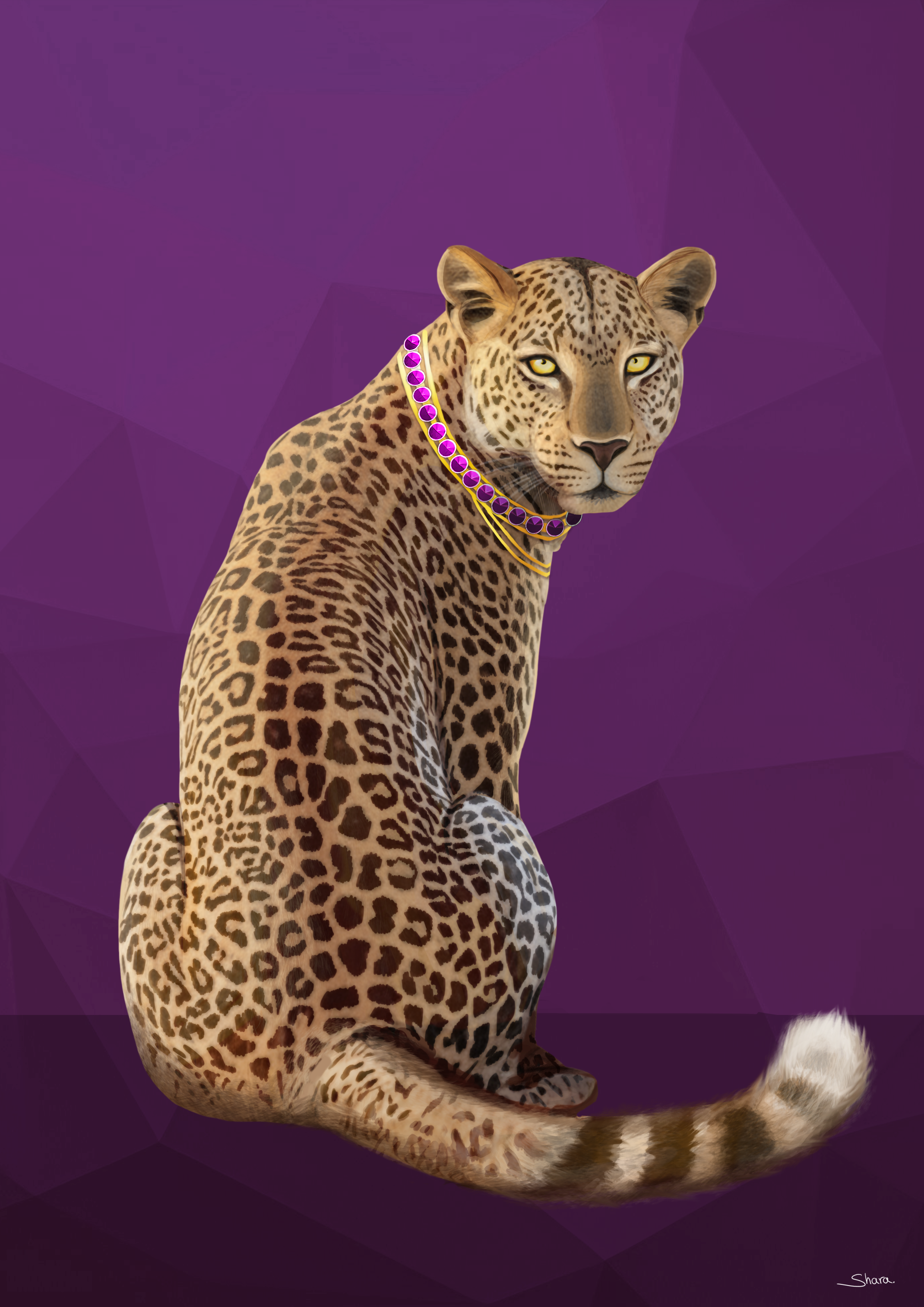 Leopard-WithGoldEyes.png