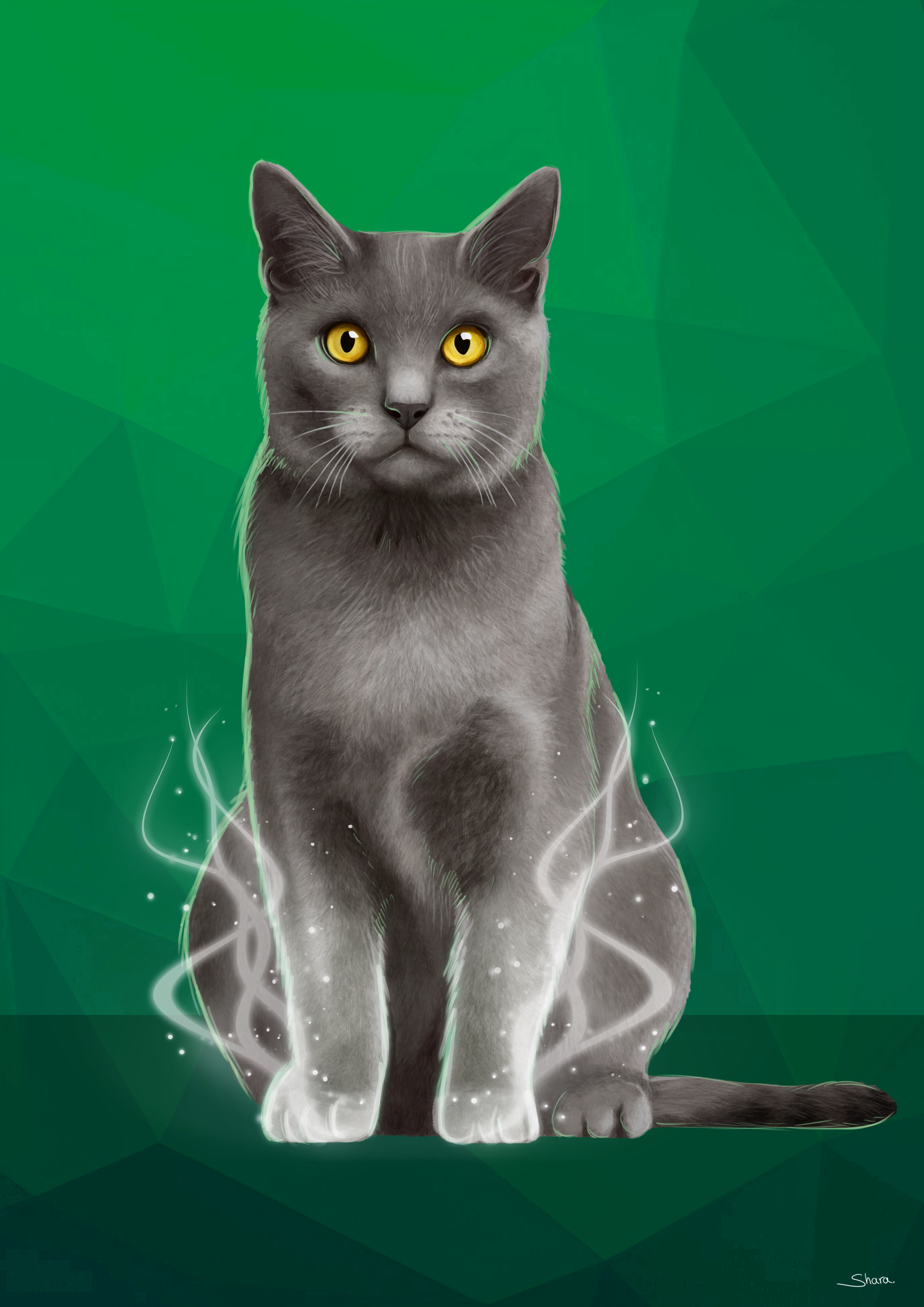 GreyCatWithGoldEyes.png