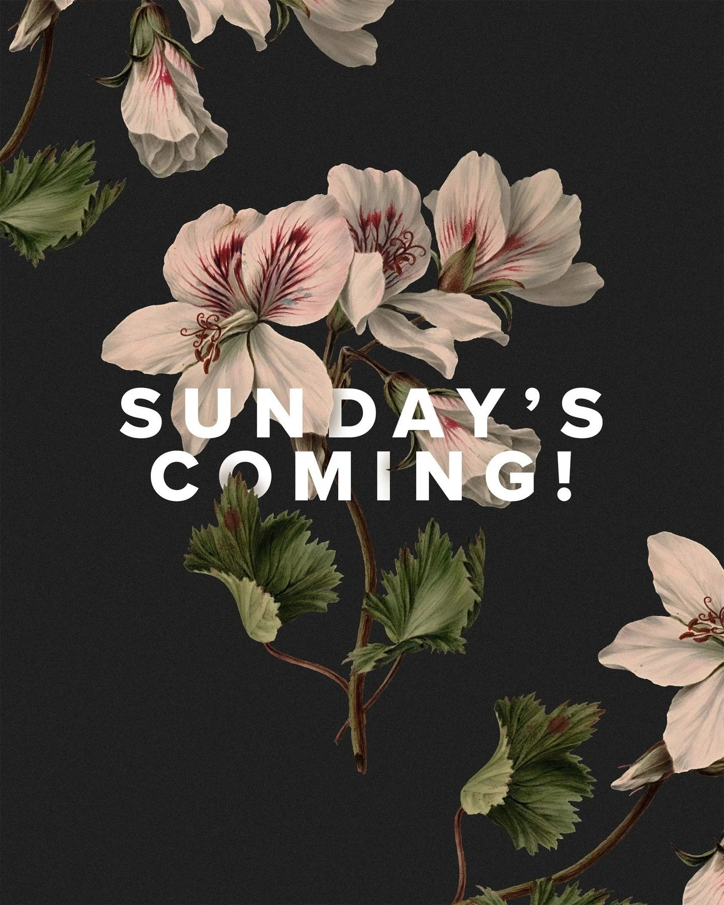 Come expectant. God always meets us when we show up. 

Service is at 4pm! 
.
.
.
#FollowersChurch #FollowersChurchSpokane #SpokaneChurch #FCSpokane