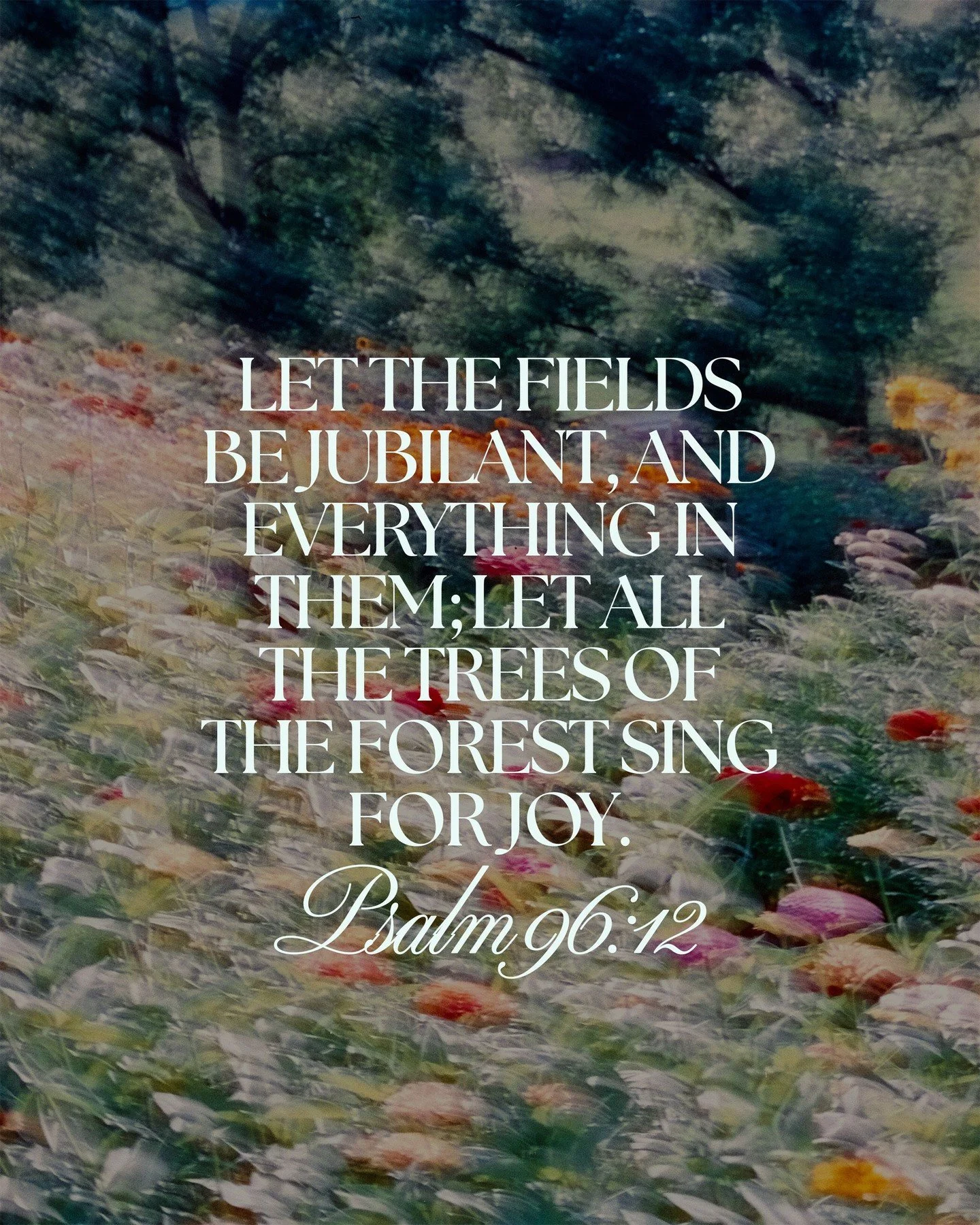 Psalm 96:12 | Let the fields be jubilant, and everything in them; let all the trees of the forest sing for joy. 
.
.
.
#FollowersChurch #FollowersChurchSpokane #SpokaneChurch #FCSpokane