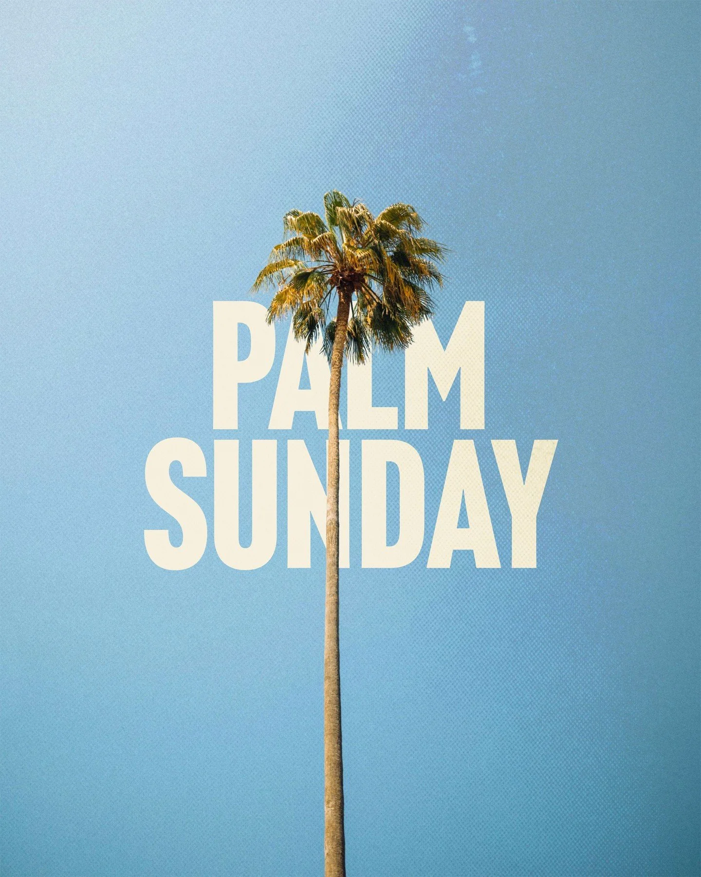 Palm Sunday reminds us that Jesus didn&rsquo;t come with force, but with humility...riding on a donkey, offering peace, and inviting us to follow Him. 

Luke 19:36-38 | As he rode along, the crowds spread out their garments on the road ahead of him. 