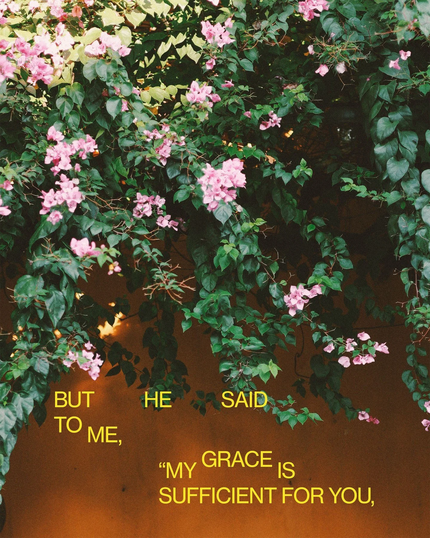 2 Corinthians 12:9 | But he said to me, &ldquo;My grace is sufficient for you, for my power is made perfect in weakness.&rdquo; Therefore I will boast all the more gladly of my weaknesses, so that the power of Christ may rest upon me. 
.
.
.
#Followe