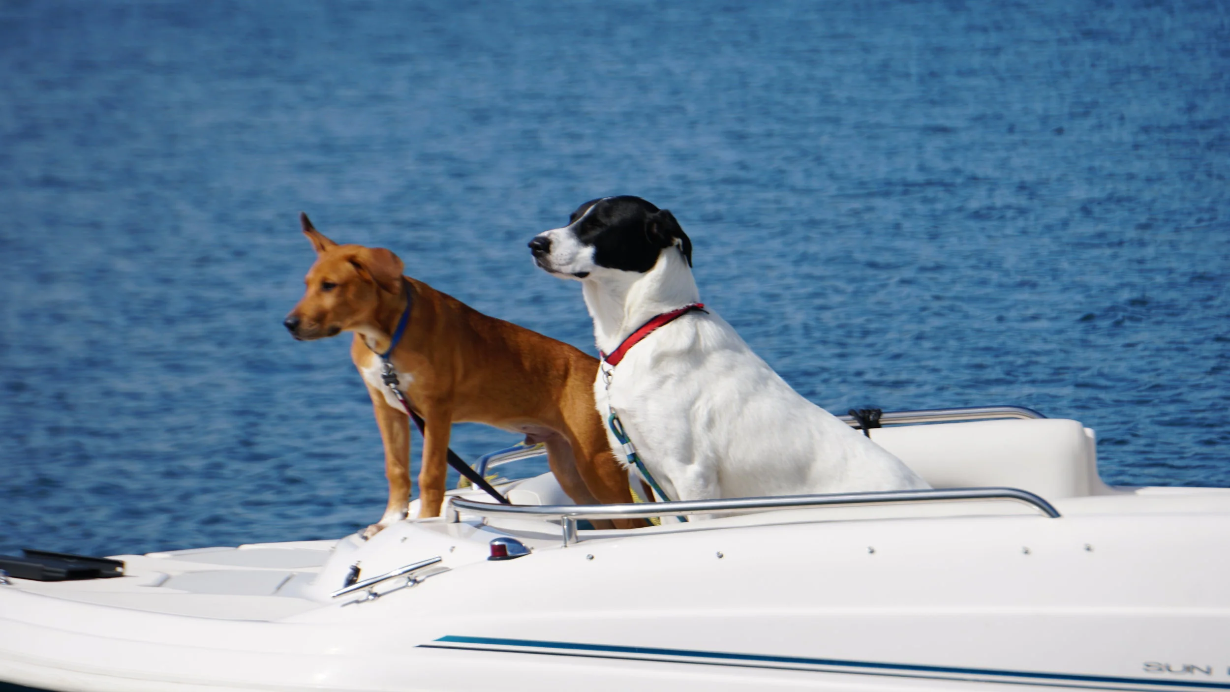 Lake Keowee Boat Rentals