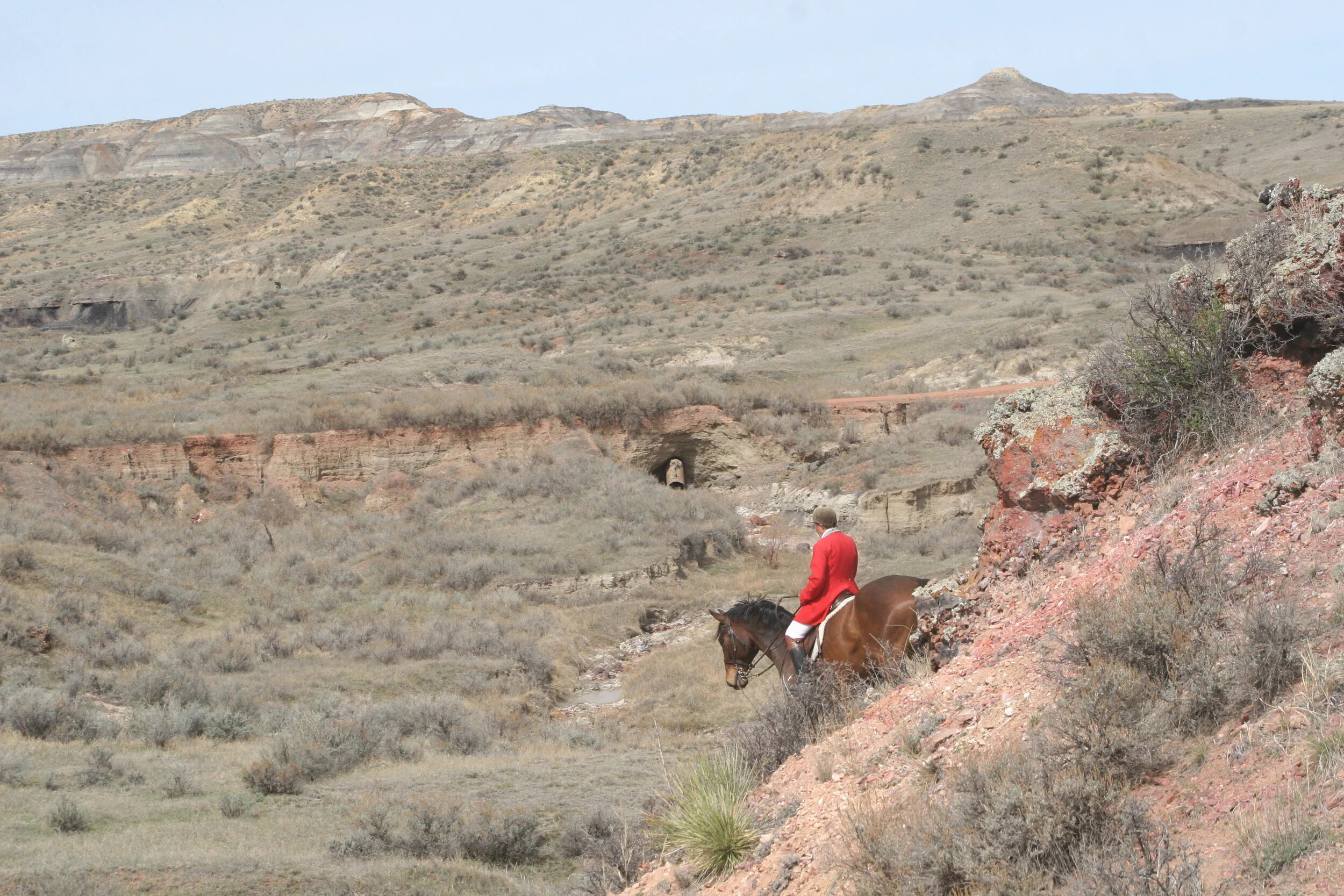 COWBOY COUNTRY, USA - WESTERN TOUR