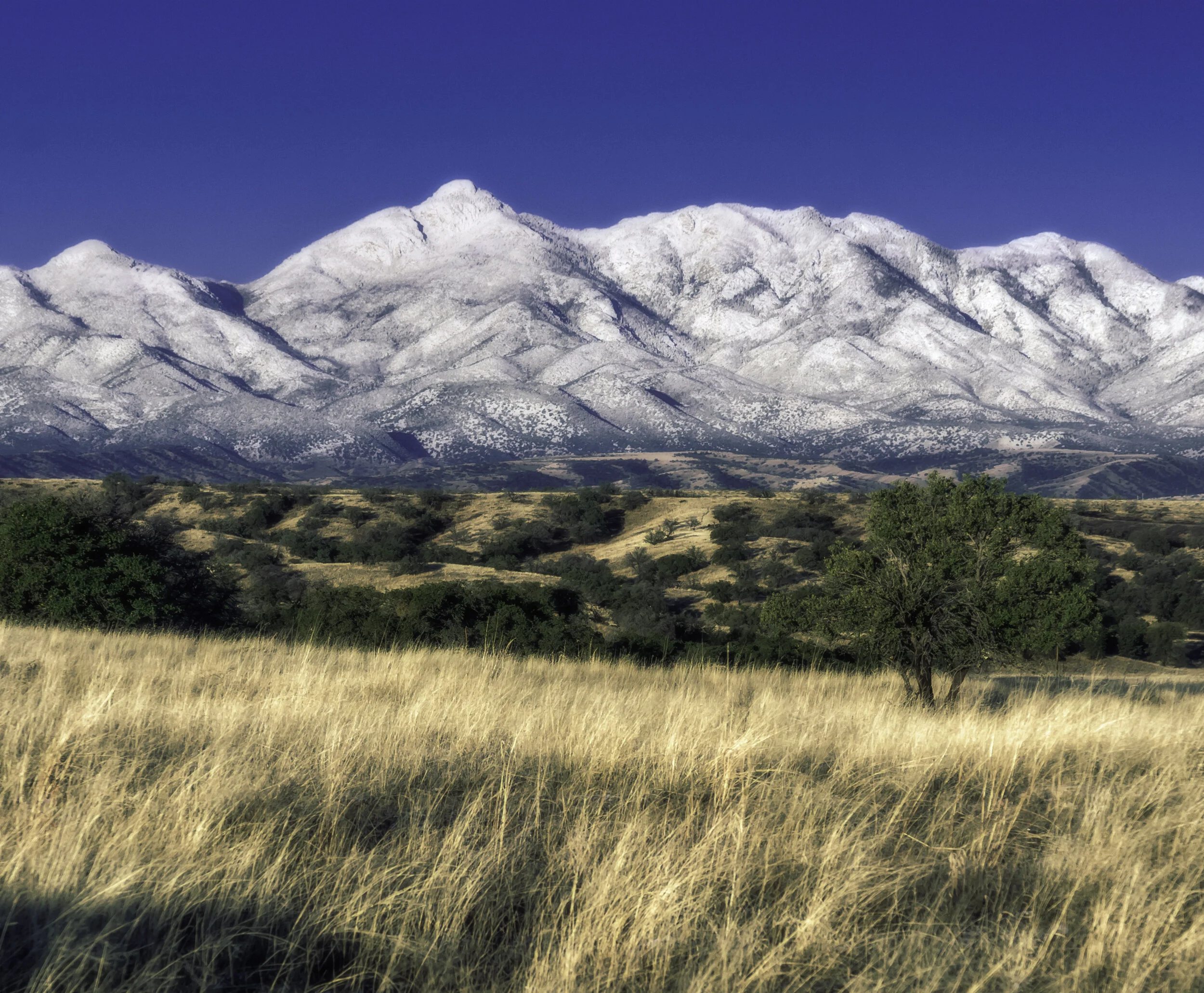WestEnd-SantaRitas-Jancal.jpg