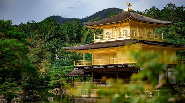 In Japanese, a castle is called 城 (shiro). But this is a picture of a temple.