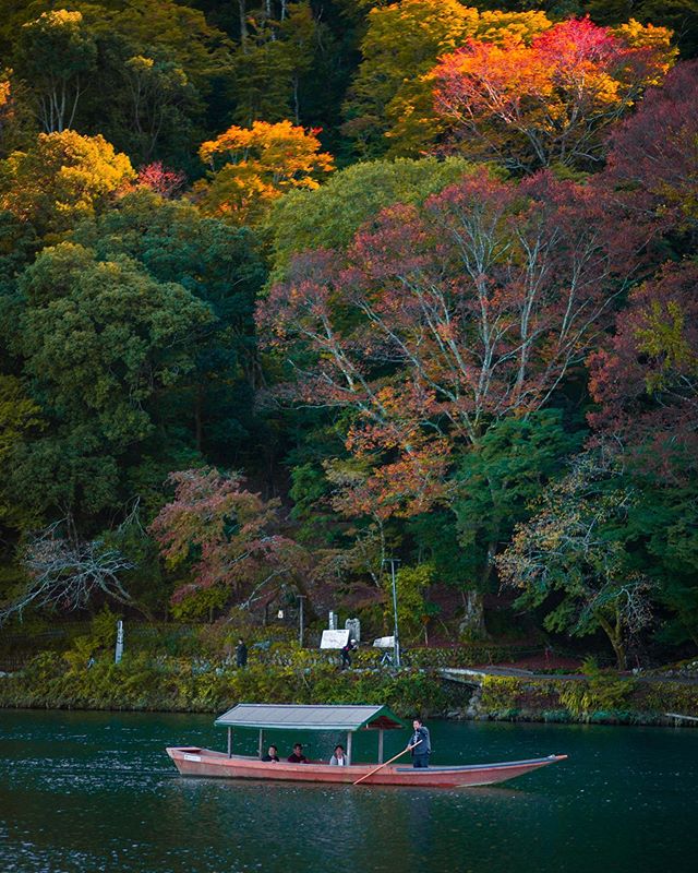 Fall colours in Kyoto ✨